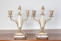 Coppia di candelabri neoclassici francesi del XIX secolo in marmo e bronzo dorato