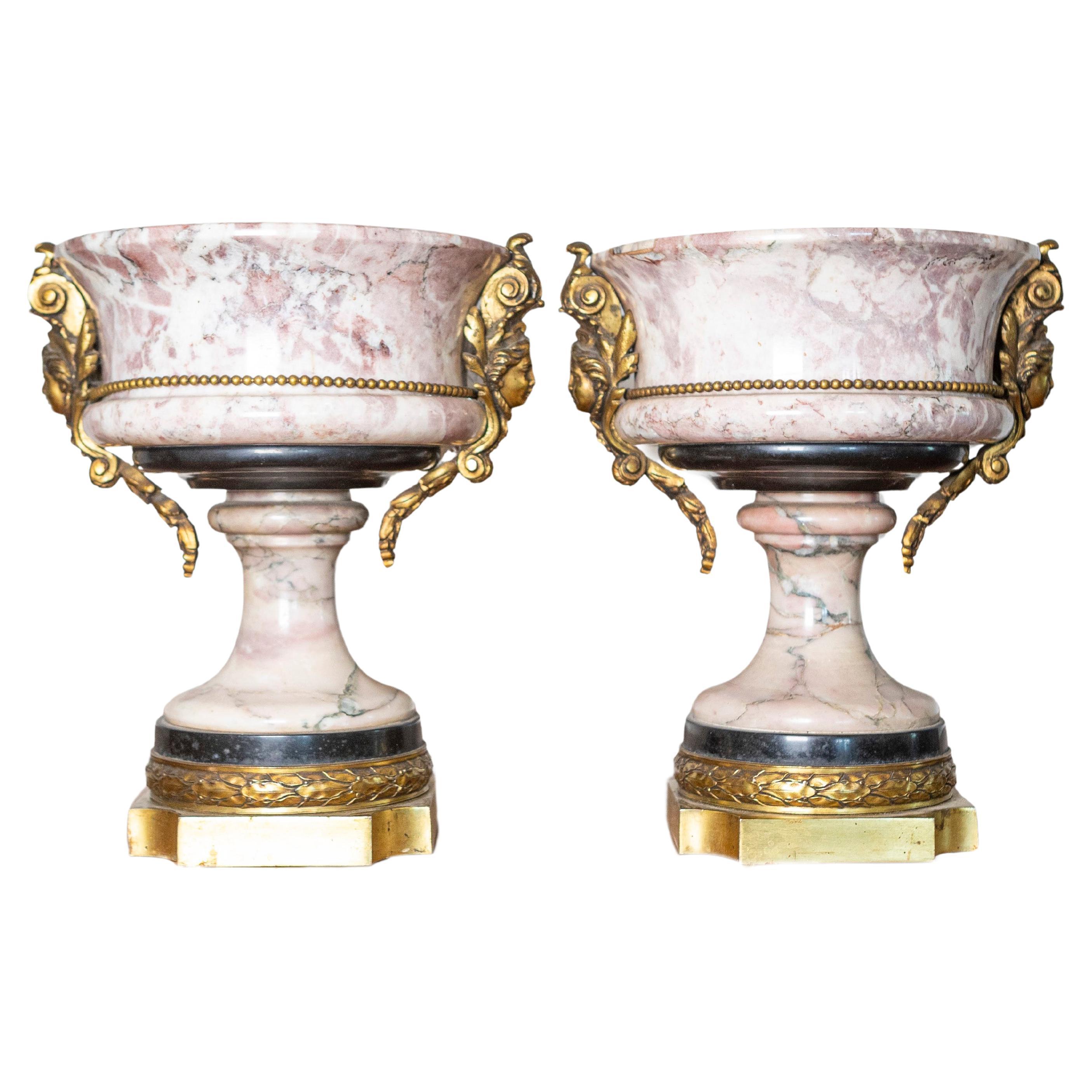 Coppia di urne neoclassiche francesi del XIX secolo in marmo e bronzo dorato
