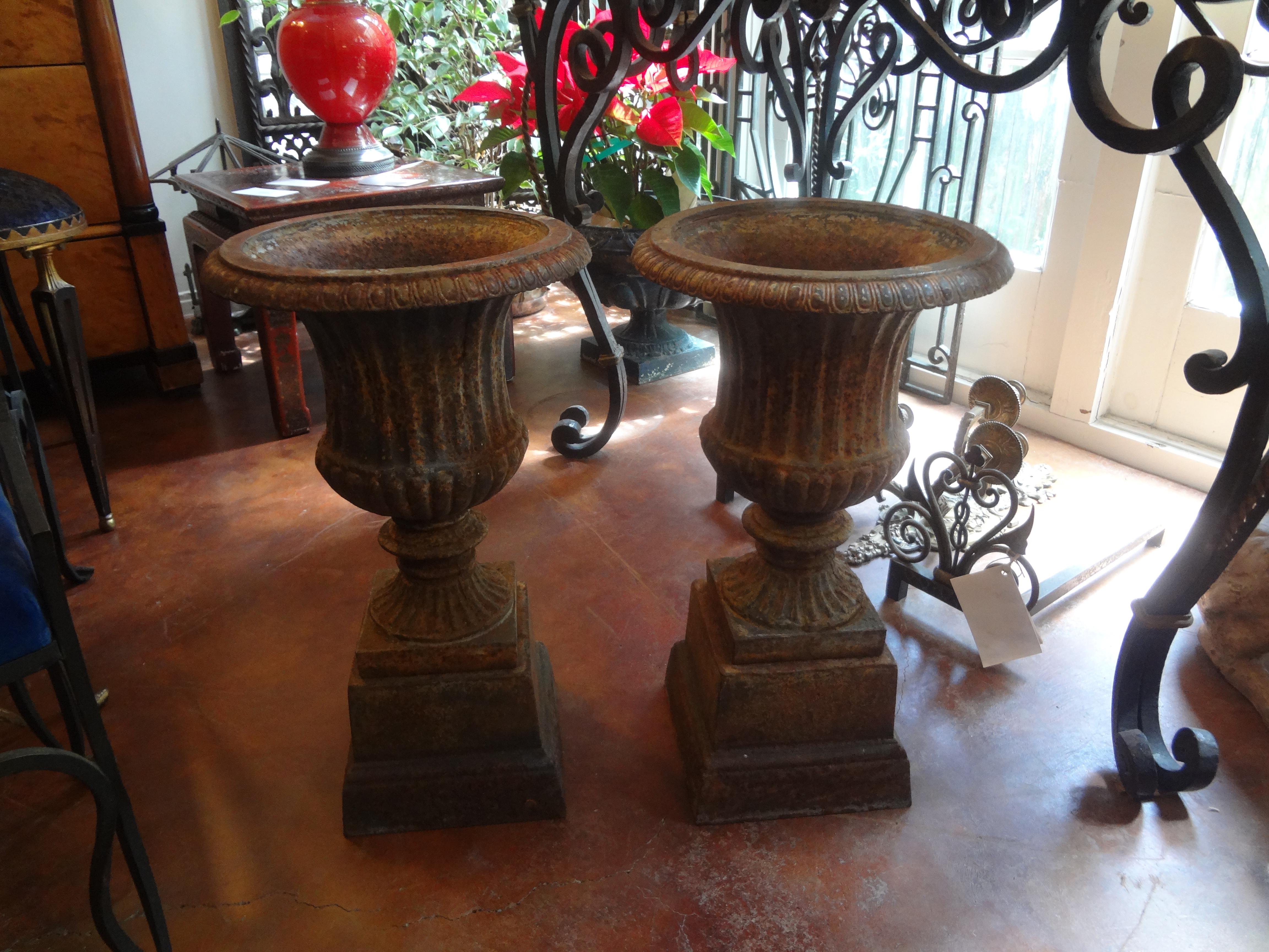 Pair of 19th Century French Neoclassical Style Iron Urns on Plinths For Sale 2