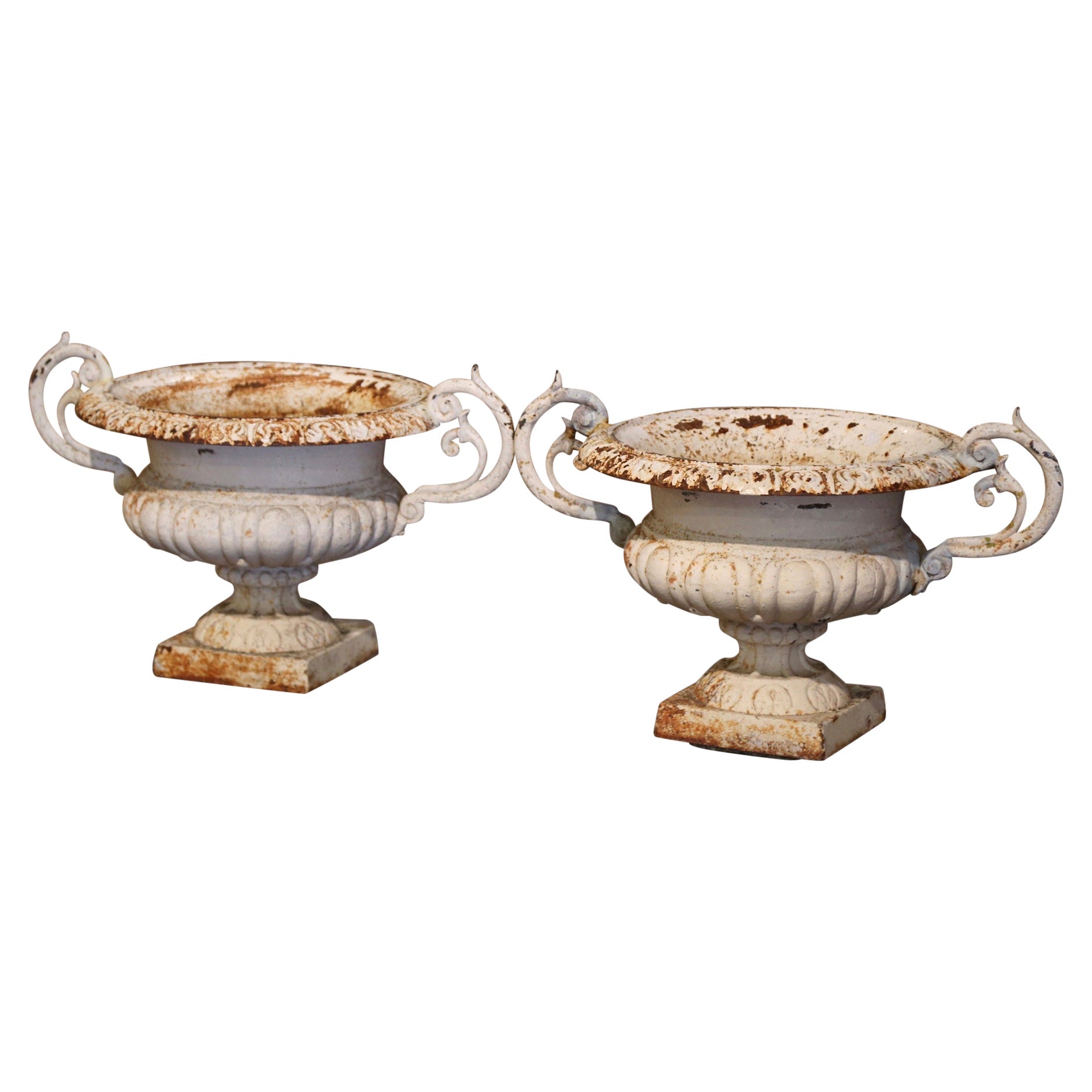 Pair of 19th Century French Painted Weathered Iron Garden Chambord Urn Planters