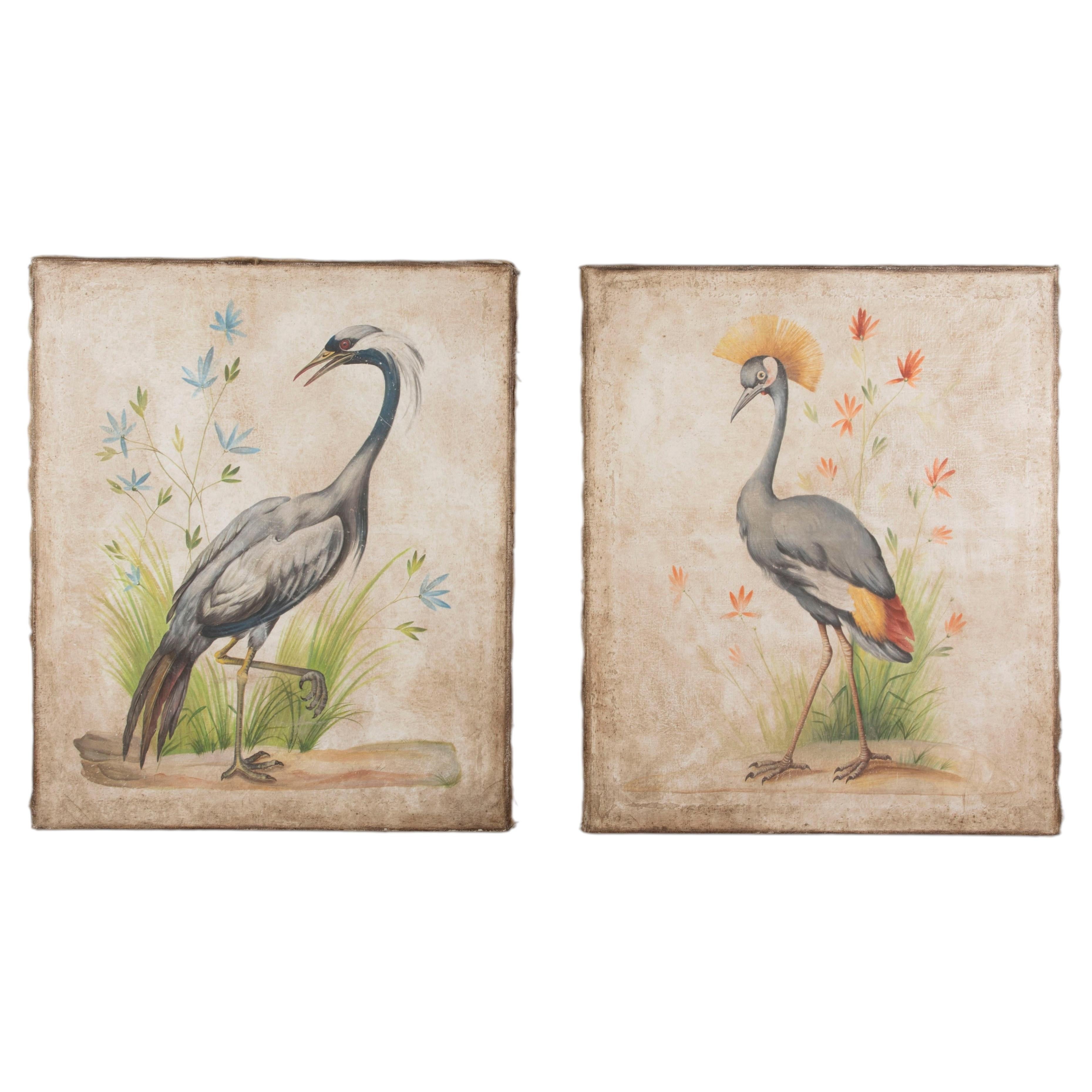 Pareja de cuadros franceses del siglo XIX con motivos de aves