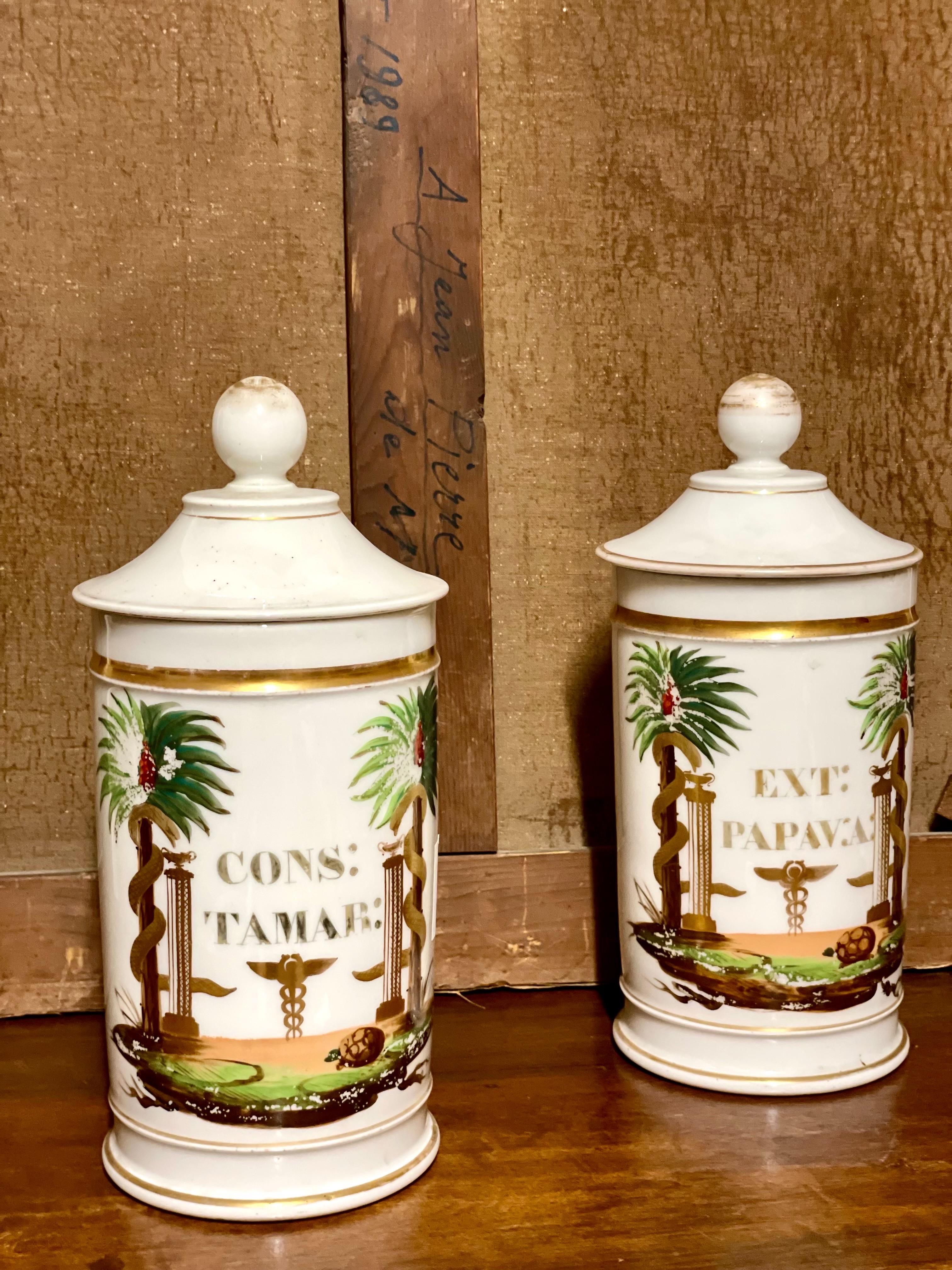 Francese Pair of 19th Century French Porcelain Apothecary Lidded Jars in vendita