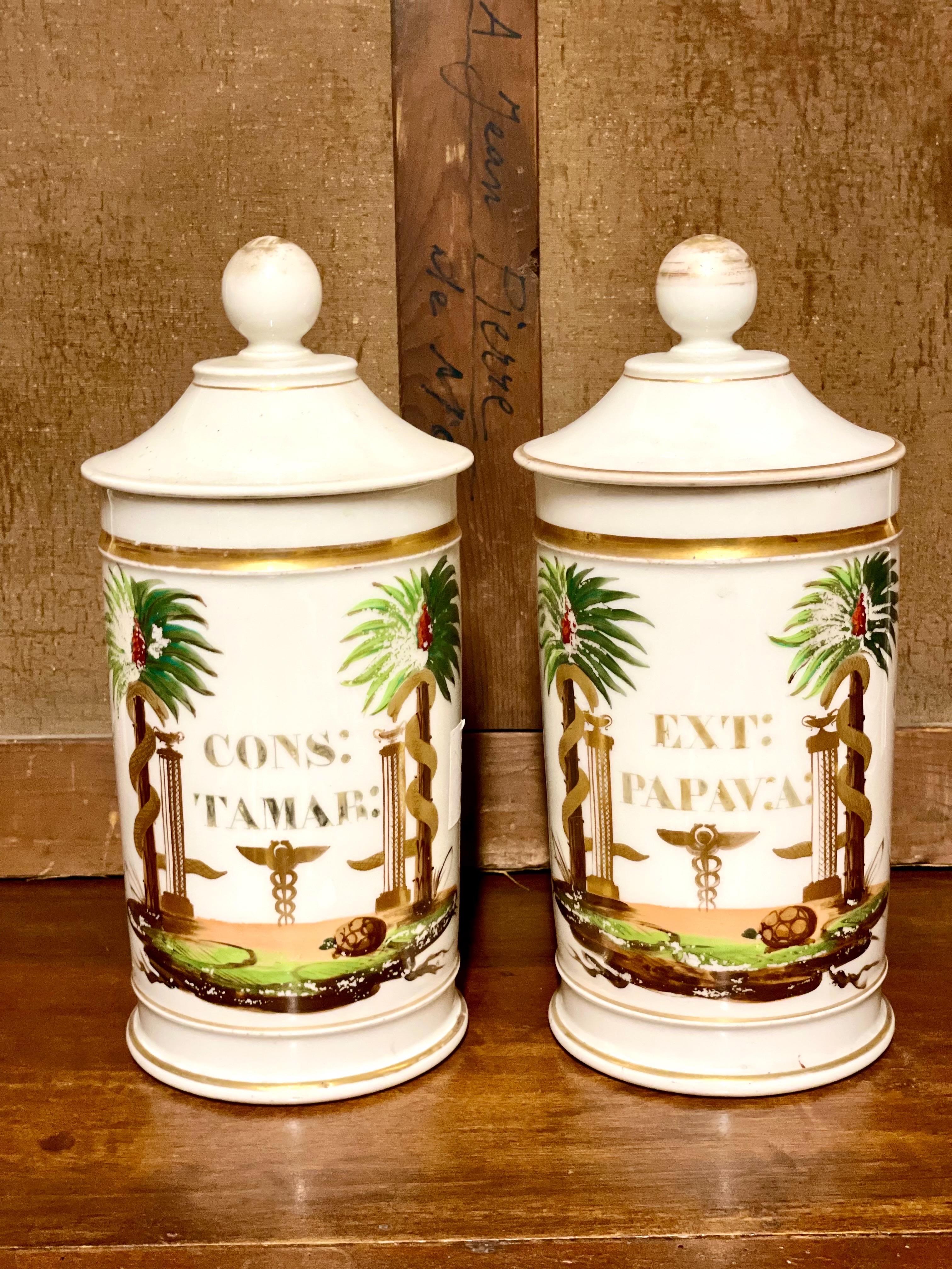 Porcellana Pair of 19th Century French Porcelain Apothecary Lidded Jars in vendita