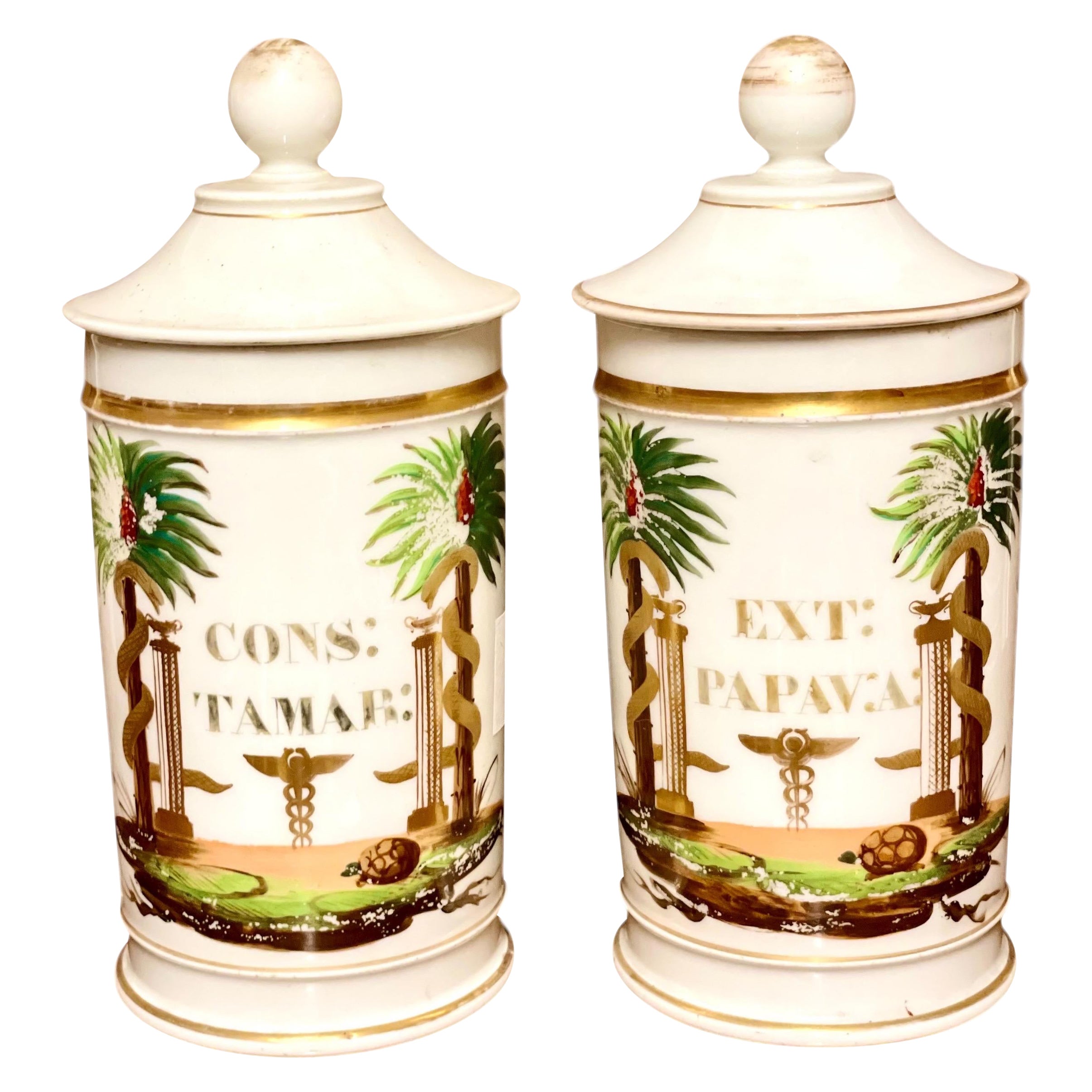 Pair of 19th Century French Porcelain Apothecary Lidded Jars