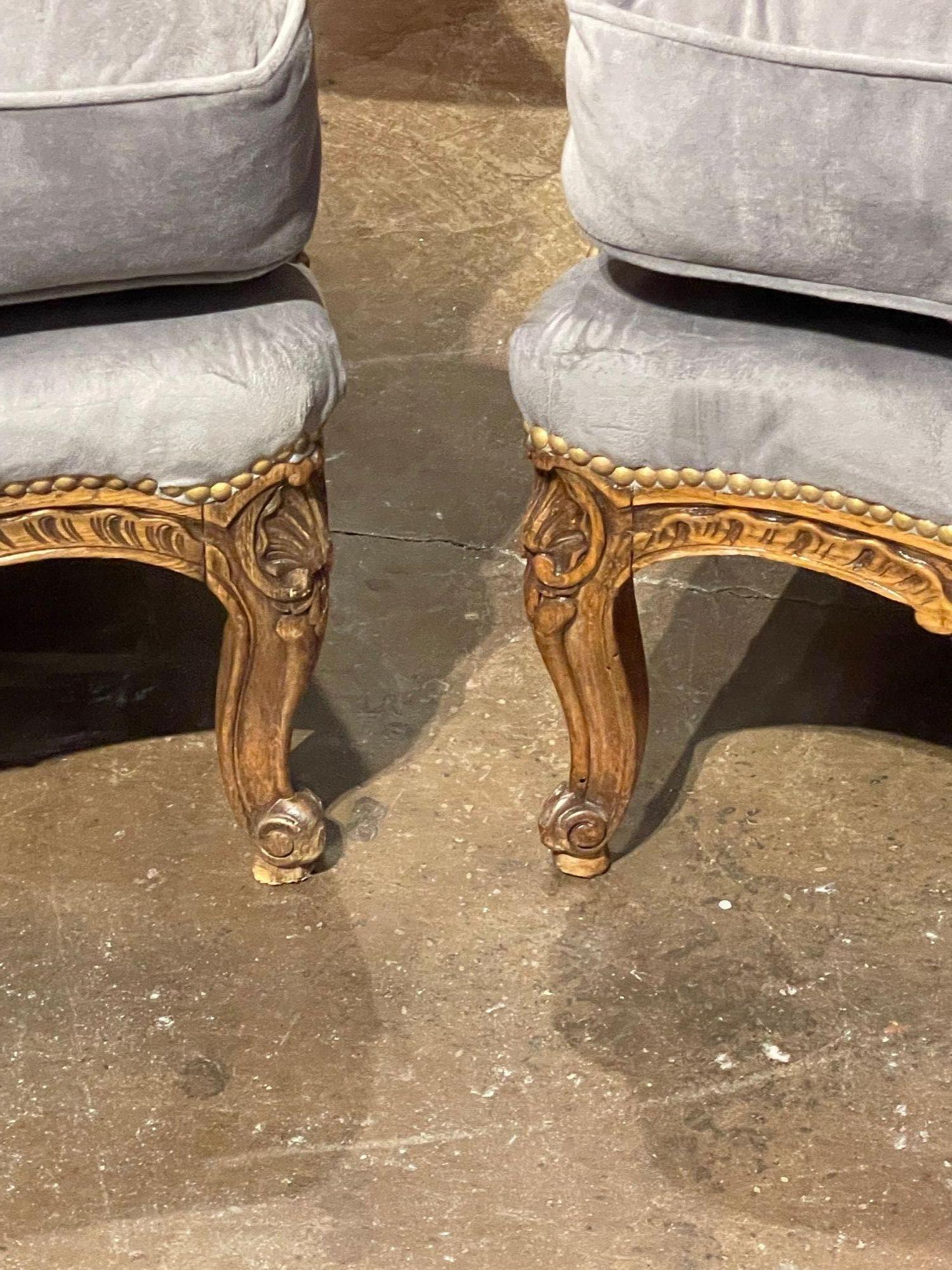 Upholstery Pair of 19th Century French Provincial Style Bergeres For Sale