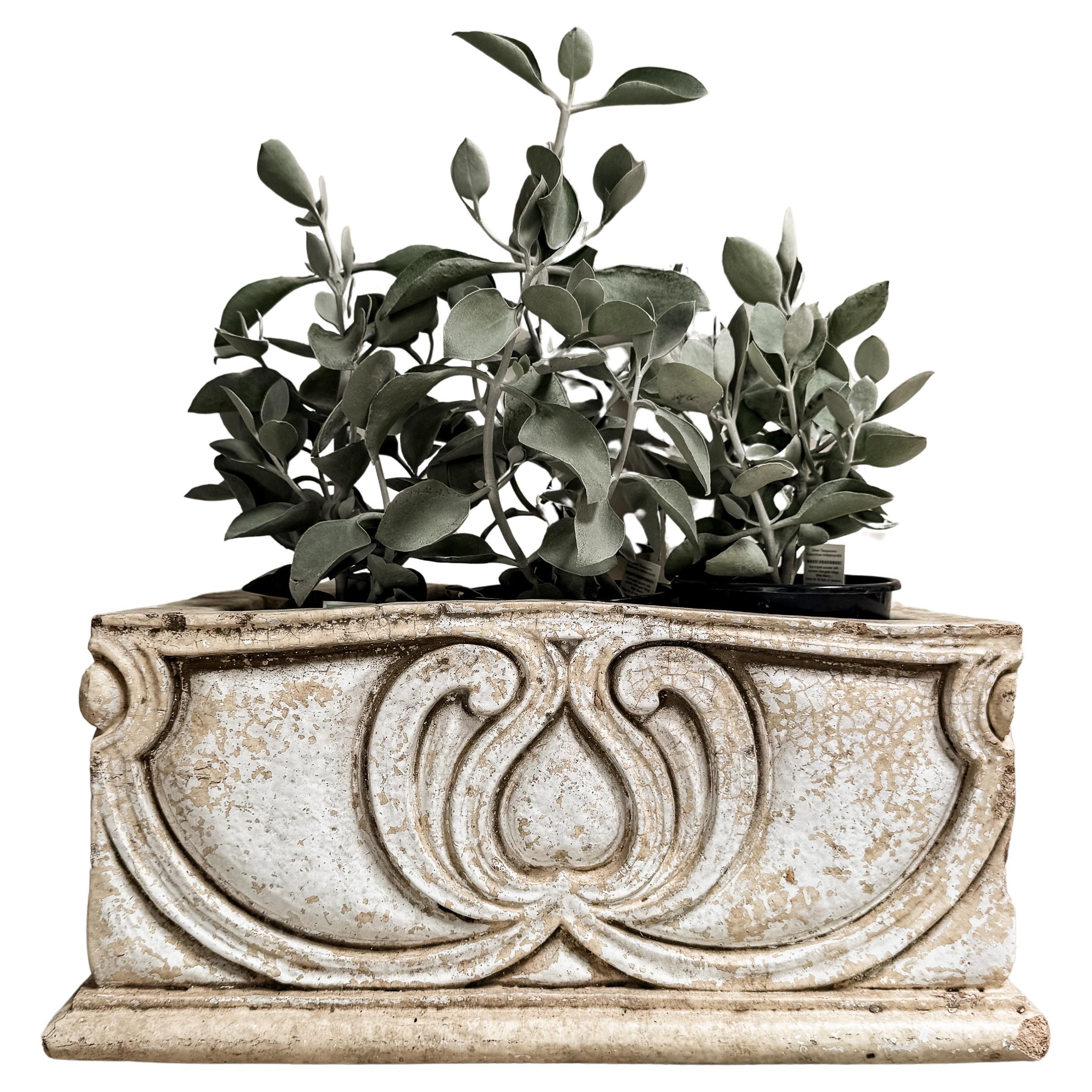 Pair of 19th Century French Rectangular Planters For Sale