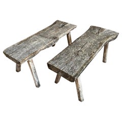 Pair Of 19th Century French Rustic Benches
