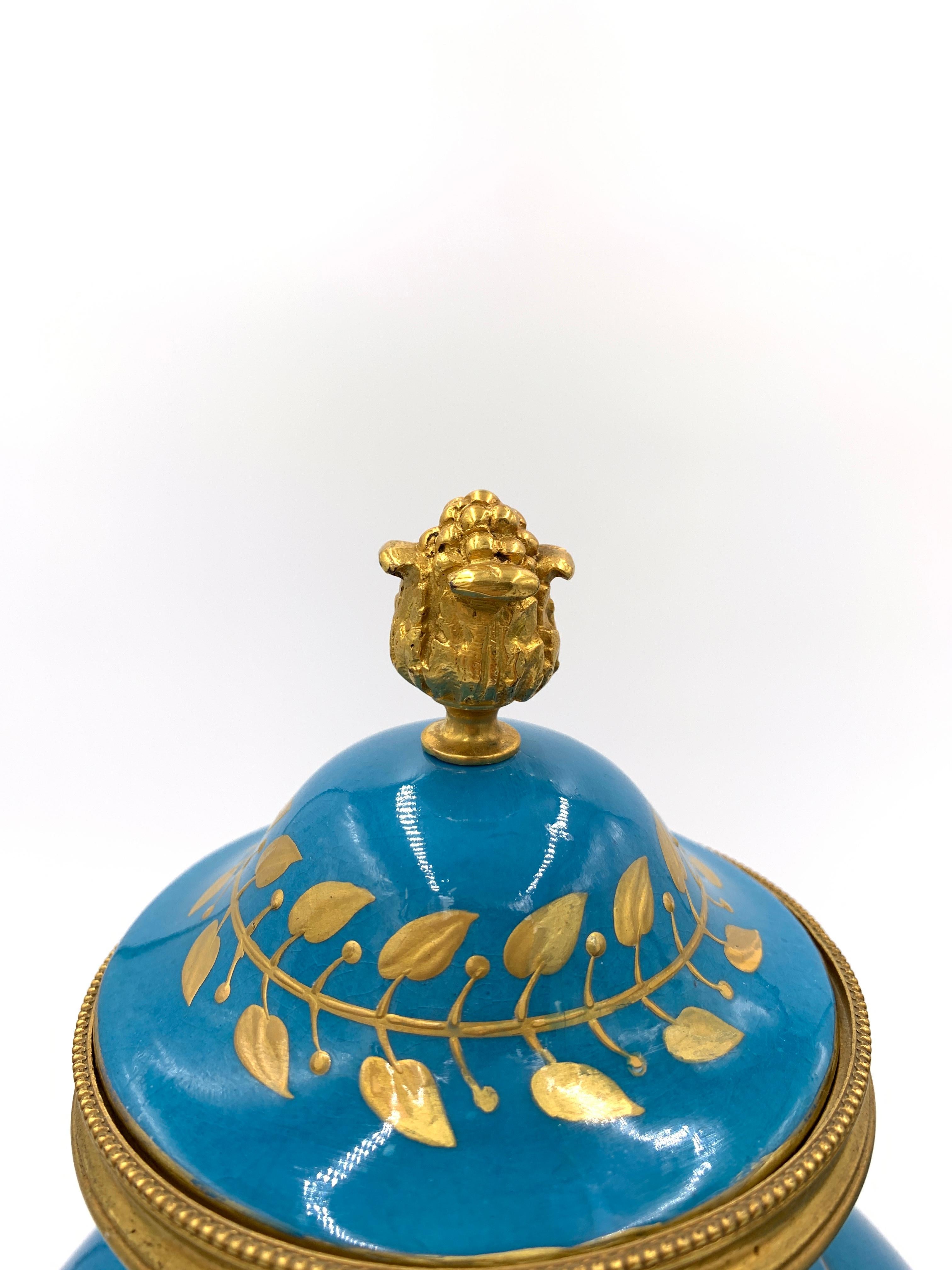 XIXe siècle Paire de vases bleu ciel de style Sèvres français du 19e siècle en vente