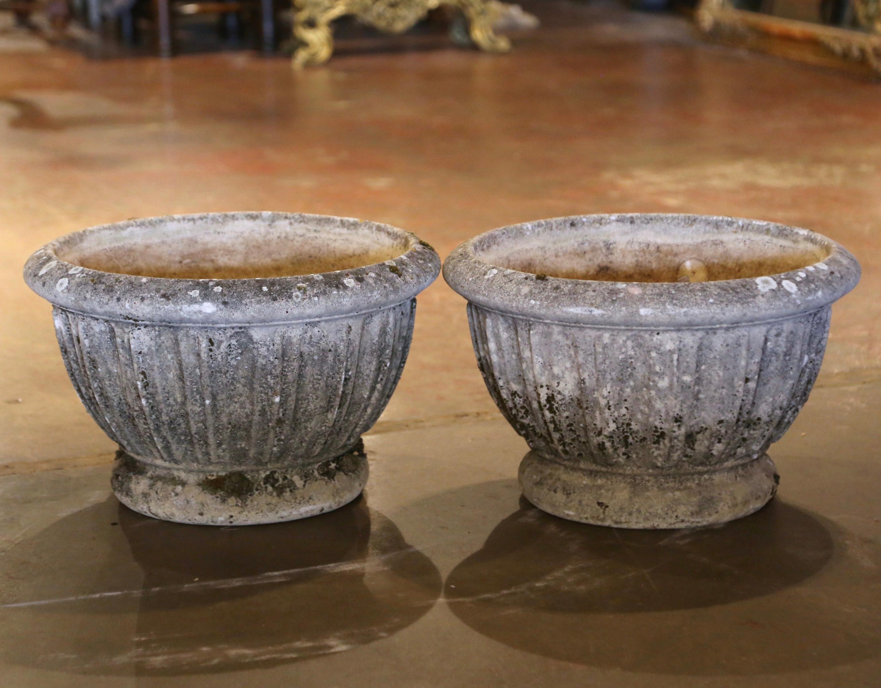 Decorate a garden, or a patio with this pair of antique planters. Carved in Normandy France circa 1870, each antique jardinière is round in shape and embellished with hand carved gadrooned motifs in high relief. The heavy sandstone planters are in