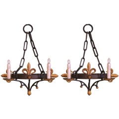 Pair of 19th Century French Wrought Iron Sconces with Gilt Fleur-de-Lys Decor