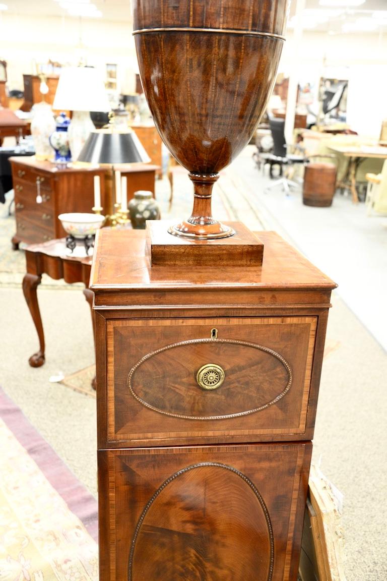 Regency Pair of 19th Century George IV Mahogany Humidor Cabinets with Cutlery Urns