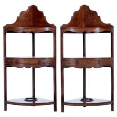 Antique Pair of 19th Century Georgian Influenced Mahogany Washstands