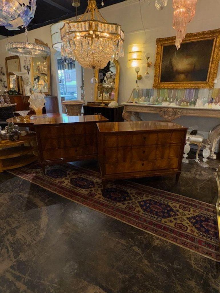 Bella coppia di commodes Biedermeier tedesche del XIX secolo. Con una classificazione antica, questi comodini mostrano un design senza tempo e la maestria tipica dello stile Biedermeier. La finitura molto fine e le linee pulite aggiungono un tocco