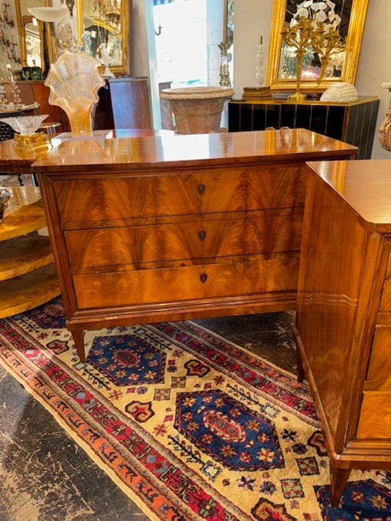 Europeo Coppia di commodes Biedermeier tedeschi del XIX secolo in vendita