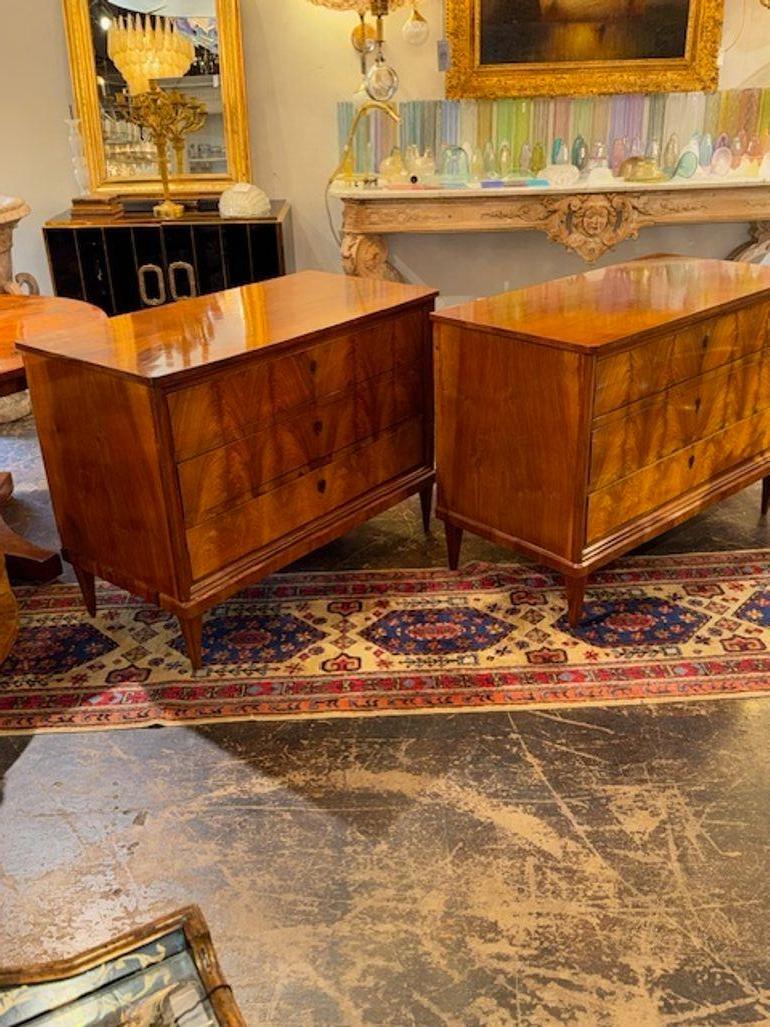 Coppia di commodes Biedermeier tedeschi del XIX secolo in vendita 2