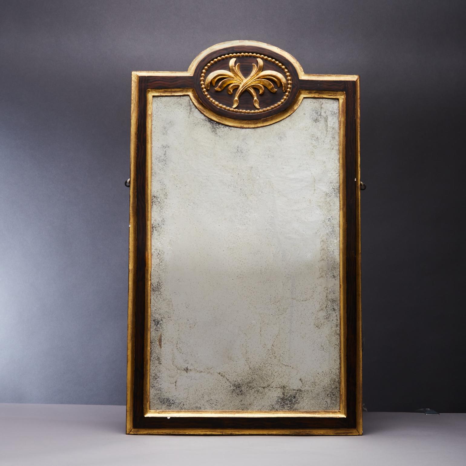 European Pair of 19th Century Gilt and Ebonized Mirrors