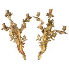 Pair of 19th Century Gilt Bronze Candle Sconces