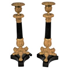 Pair of 19th Century Gilt Bronze Candlesticks