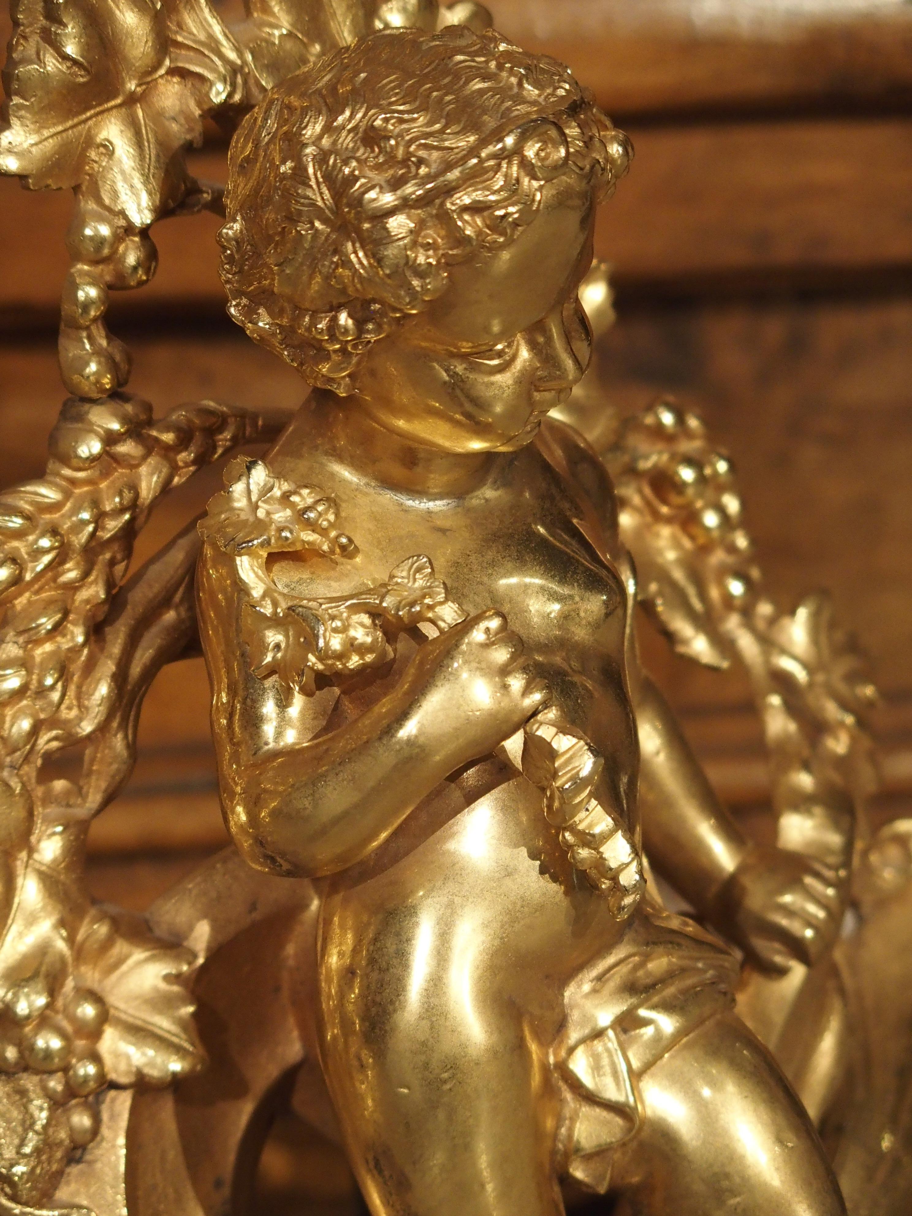 Pair of 19th Century Gilt Bronze French Chenets 10