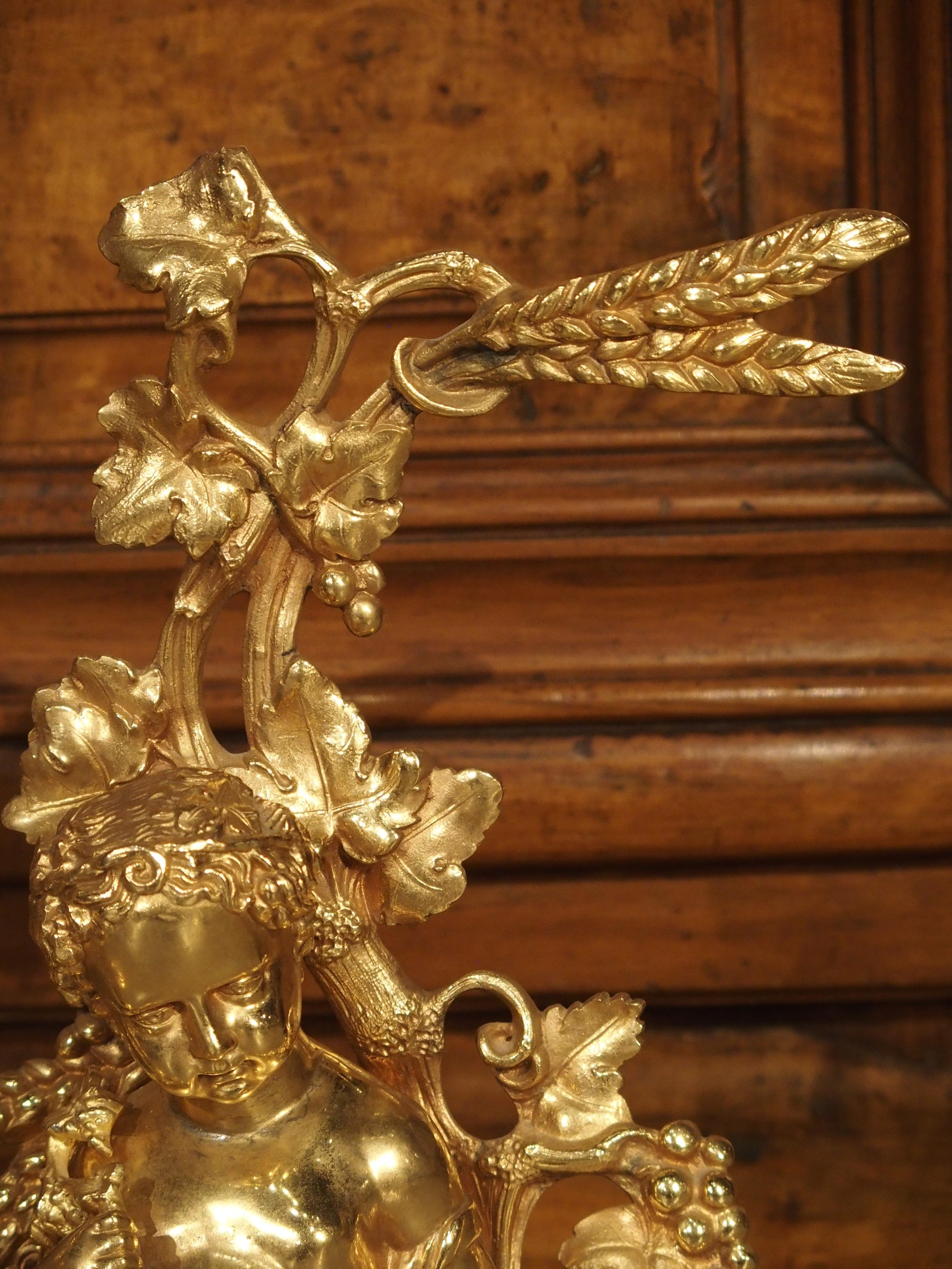 Pair of 19th Century Gilt Bronze French Chenets 3