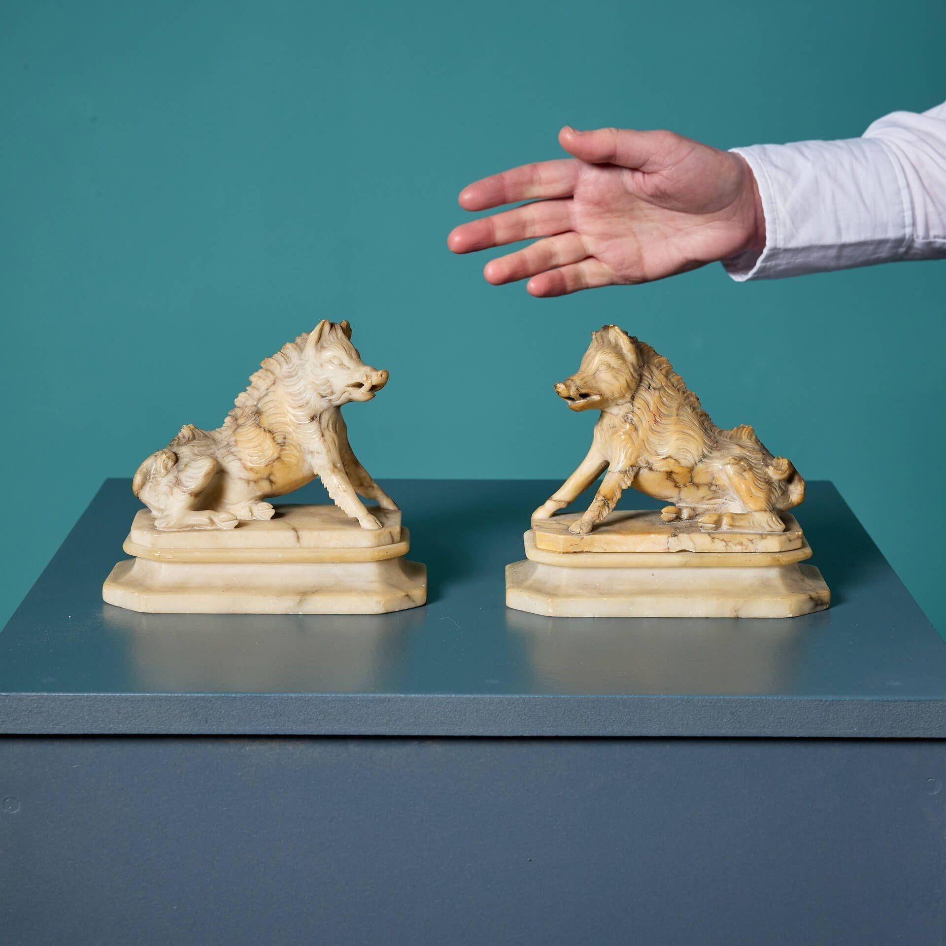 Paire de sculptures du Grand Tour en marbre blanc sculpté d'après le sanglier des Offices.

Ces sangliers assis présentent des détails sculptés impressionnants, car ils se font face symétriquement dans une paire de mains.

Le style néoclassique