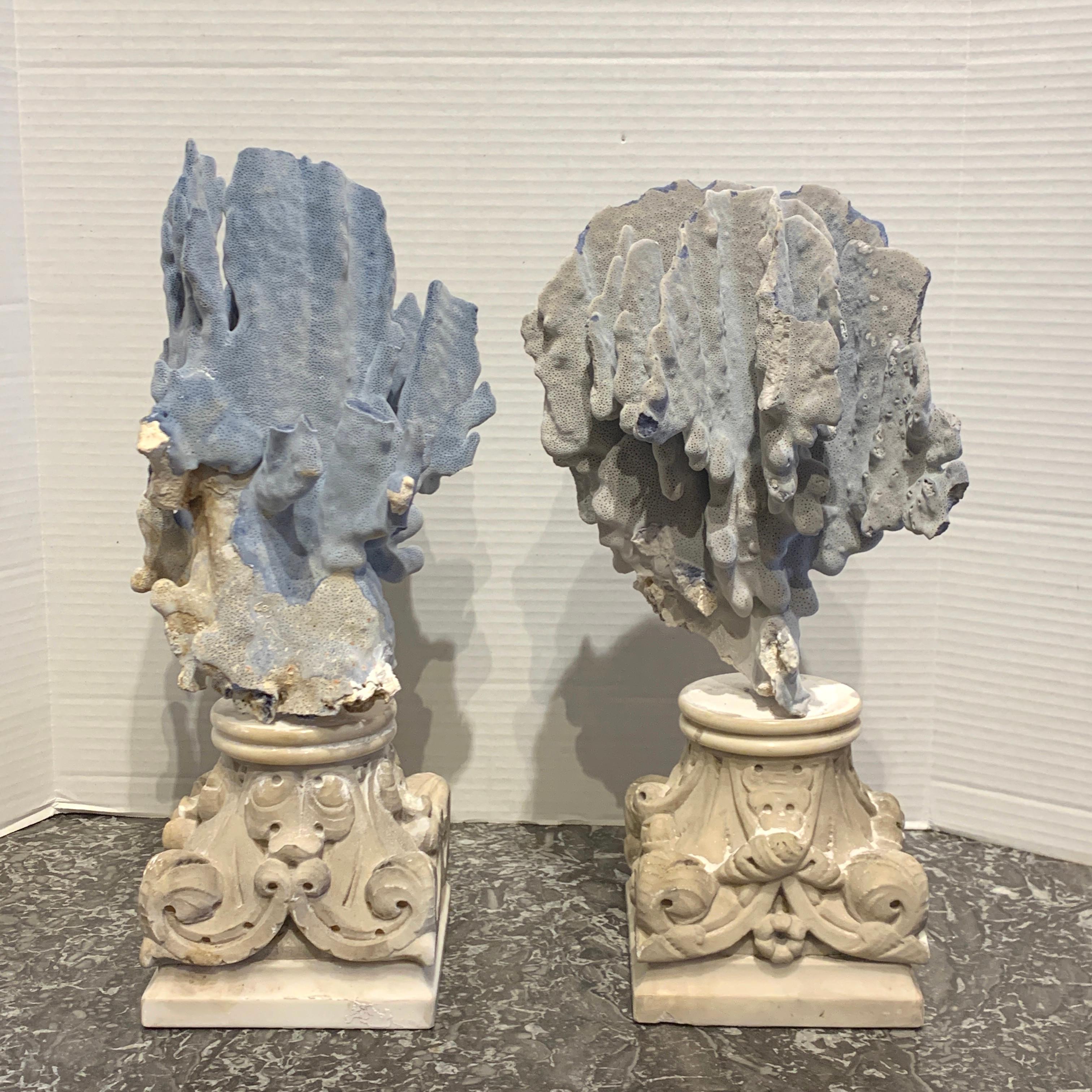 Pair of 19th century Grand Tour specimen blue coral on Carrara marble pedestals, each one removable from the finely carved 7-inch square Greek / Roman style Carrara marble bases.
Each specimen coral and marble base weighs approximately 30