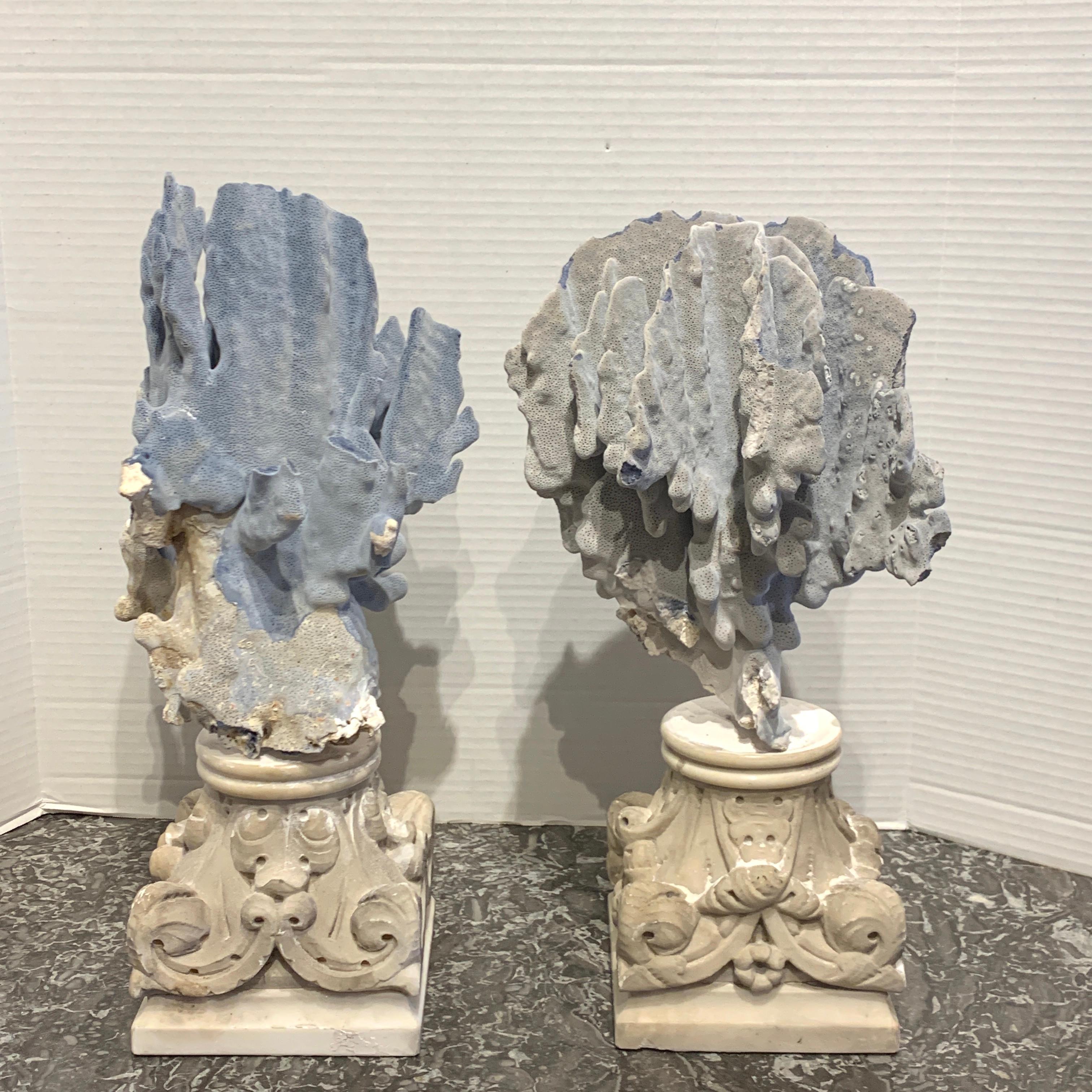 Neoclassical Pair of 19th Century Grand Tour Specimen Blue Coral on Carrera Marble Pedestals