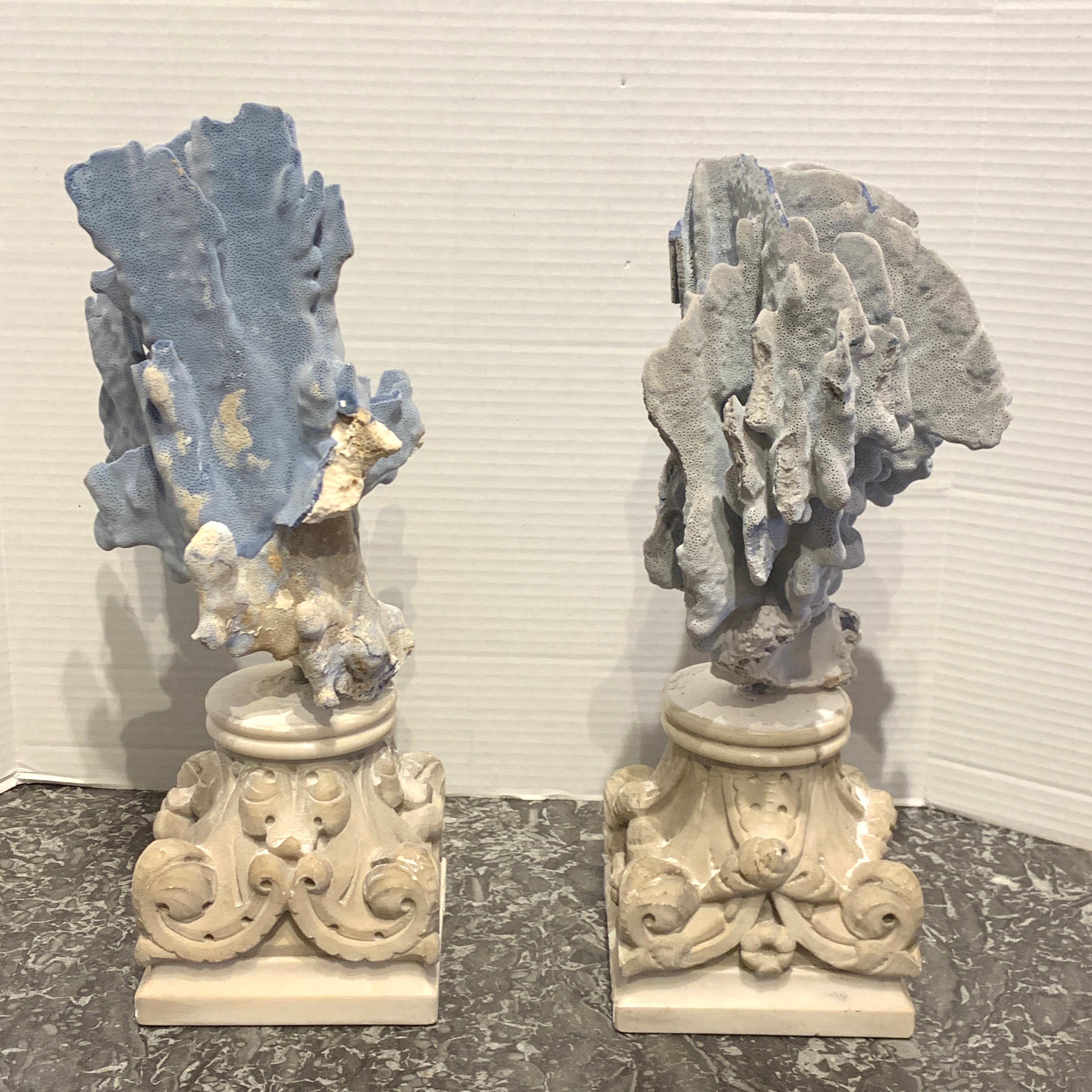 Italian Pair of 19th Century Grand Tour Specimen Blue Coral on Carrera Marble Pedestals For Sale