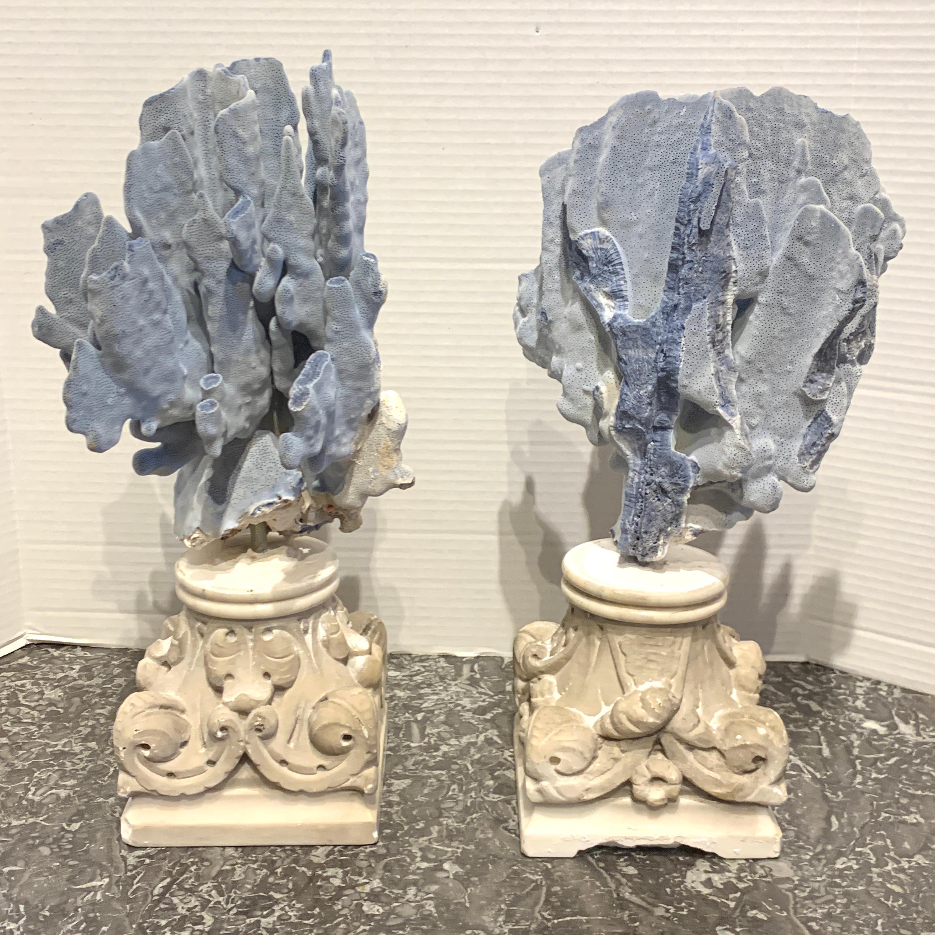 Carved Pair of 19th Century Grand Tour Specimen Blue Coral on Carrera Marble Pedestals