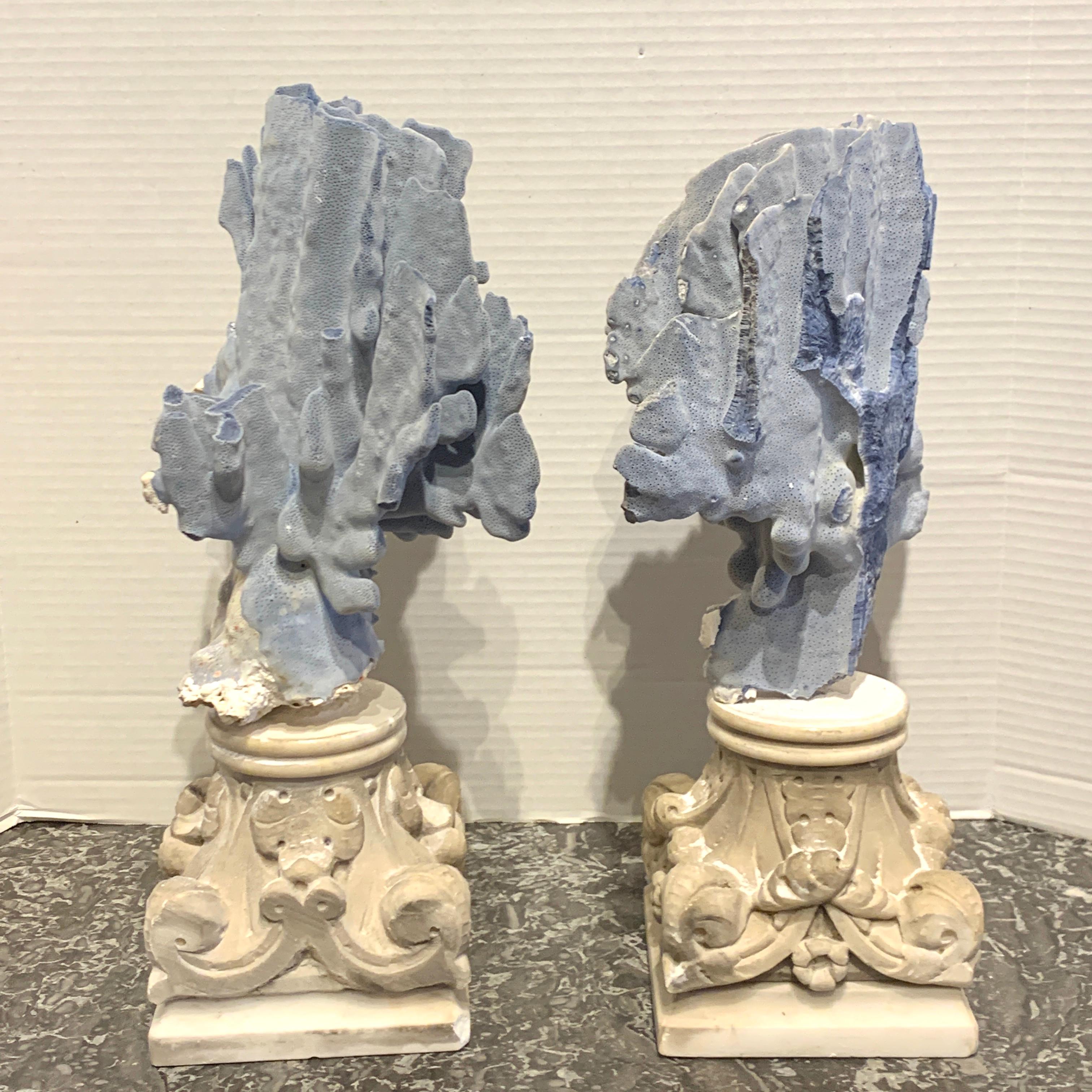 Pair of 19th Century Grand Tour Specimen Blue Coral on Carrera Marble Pedestals In Good Condition For Sale In Atlanta, GA
