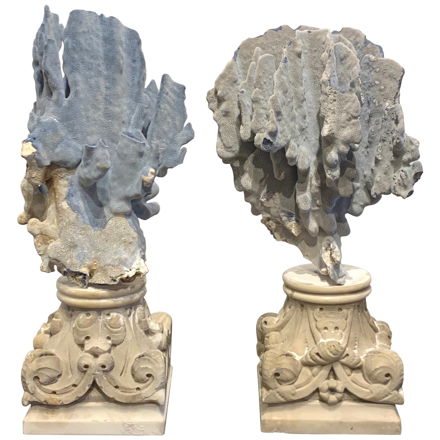 Pair of 19th Century Grand Tour Specimen Blue Coral on Carrera Marble Pedestals For Sale
