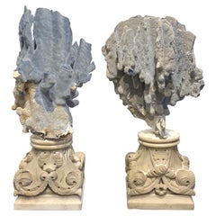 Pair of 19th Century Grand Tour Specimen Blue Coral on Carrera Marble Pedestals