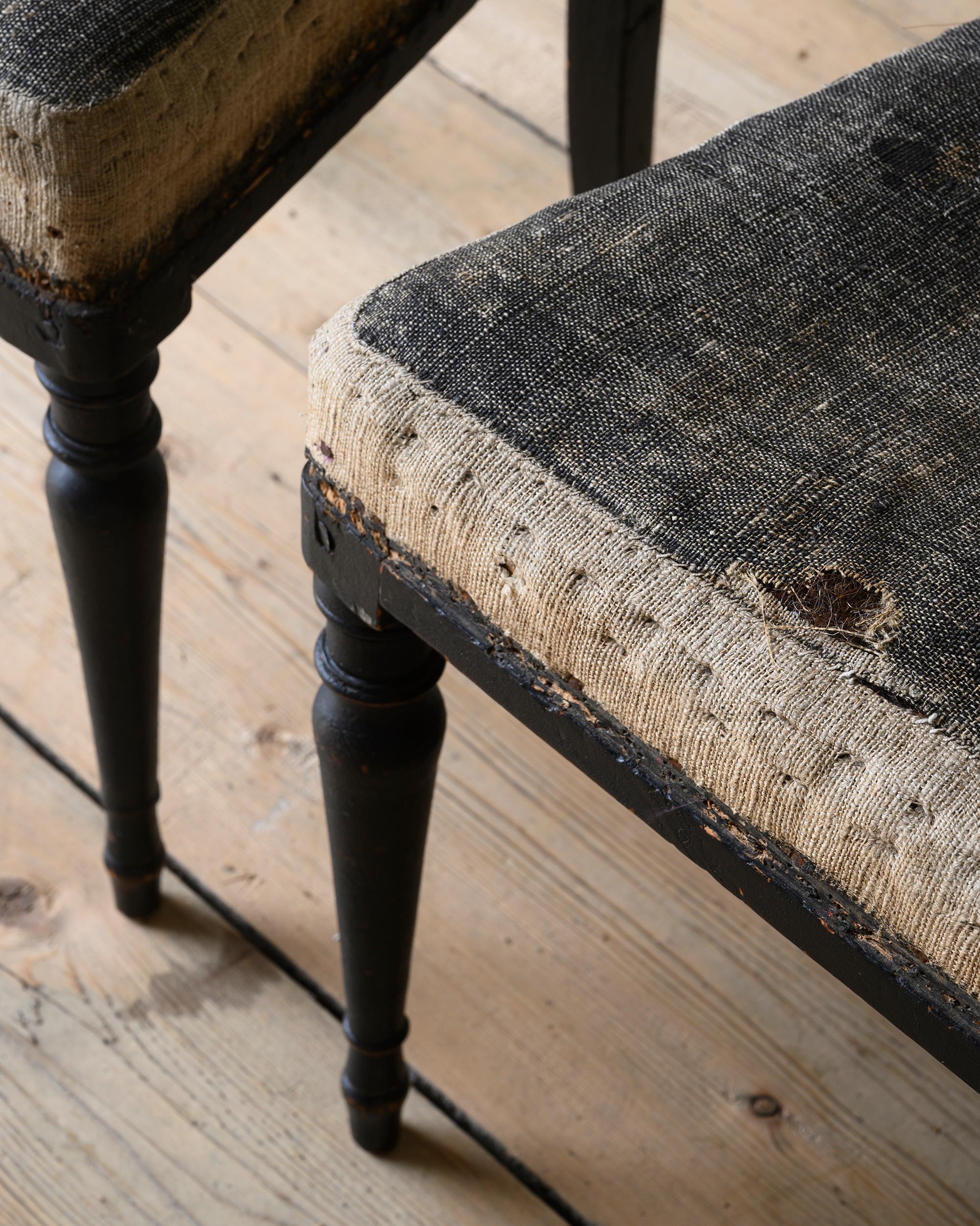Gustavien Paire de chaises gustaviennes du 19e siècle en vente