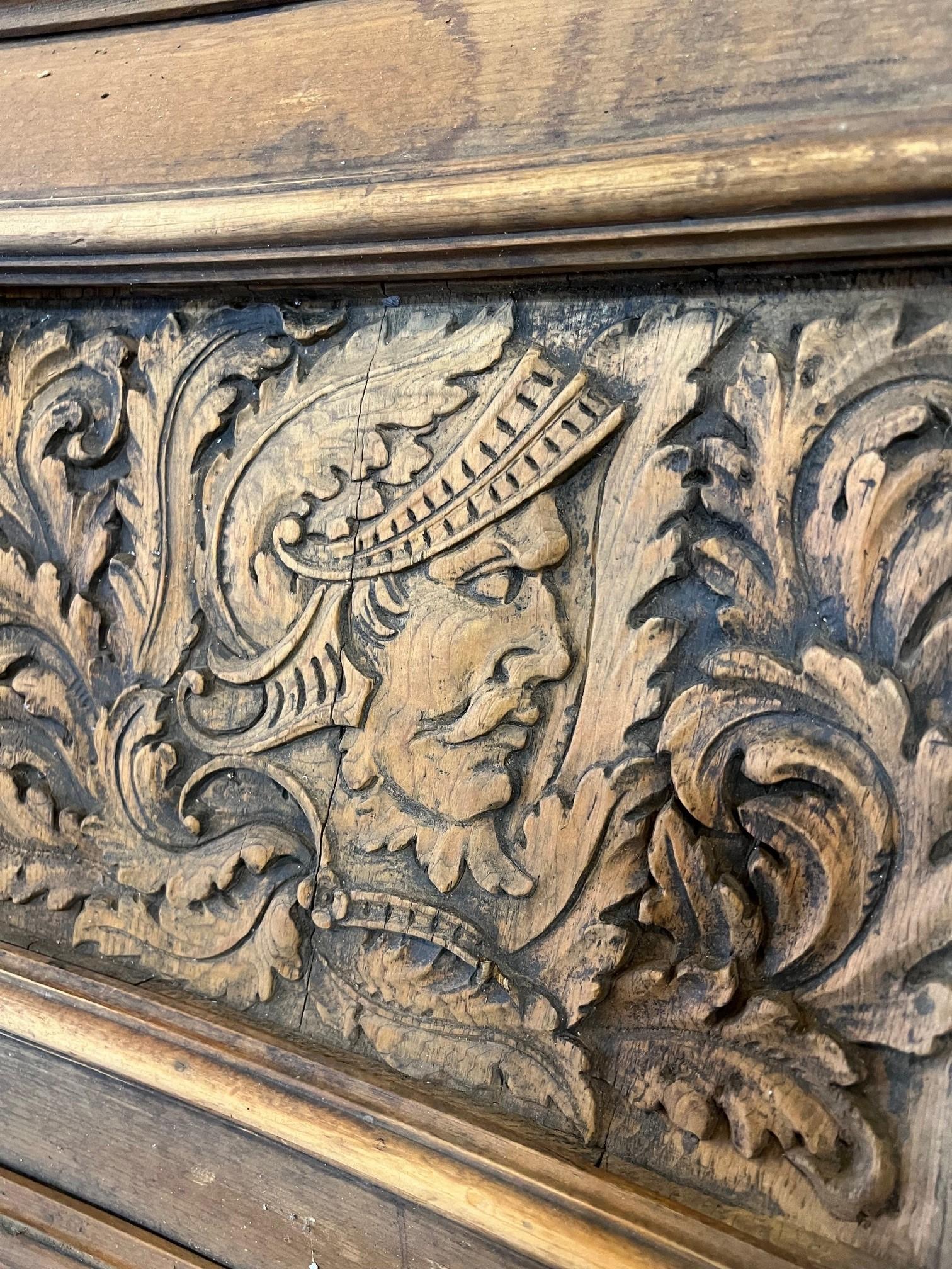 Paire de panneaux de porte d'armoire en bois sculpté à la main du 19e siècle en vente 5