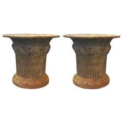 Pair of 19th Century Iron Directoire Garden Planters Fluted with Leaf Detail