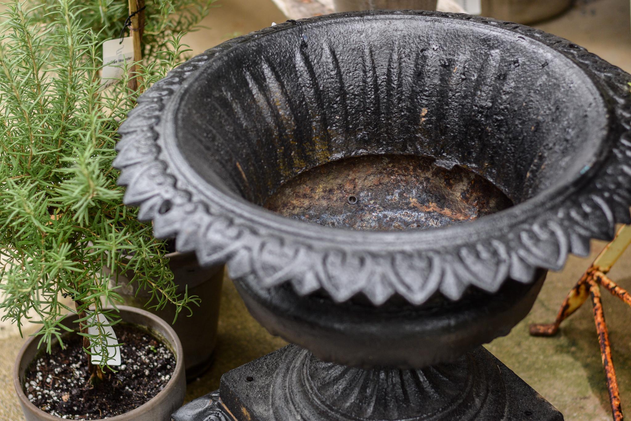 Pair of 19th Century Iron Urns 3