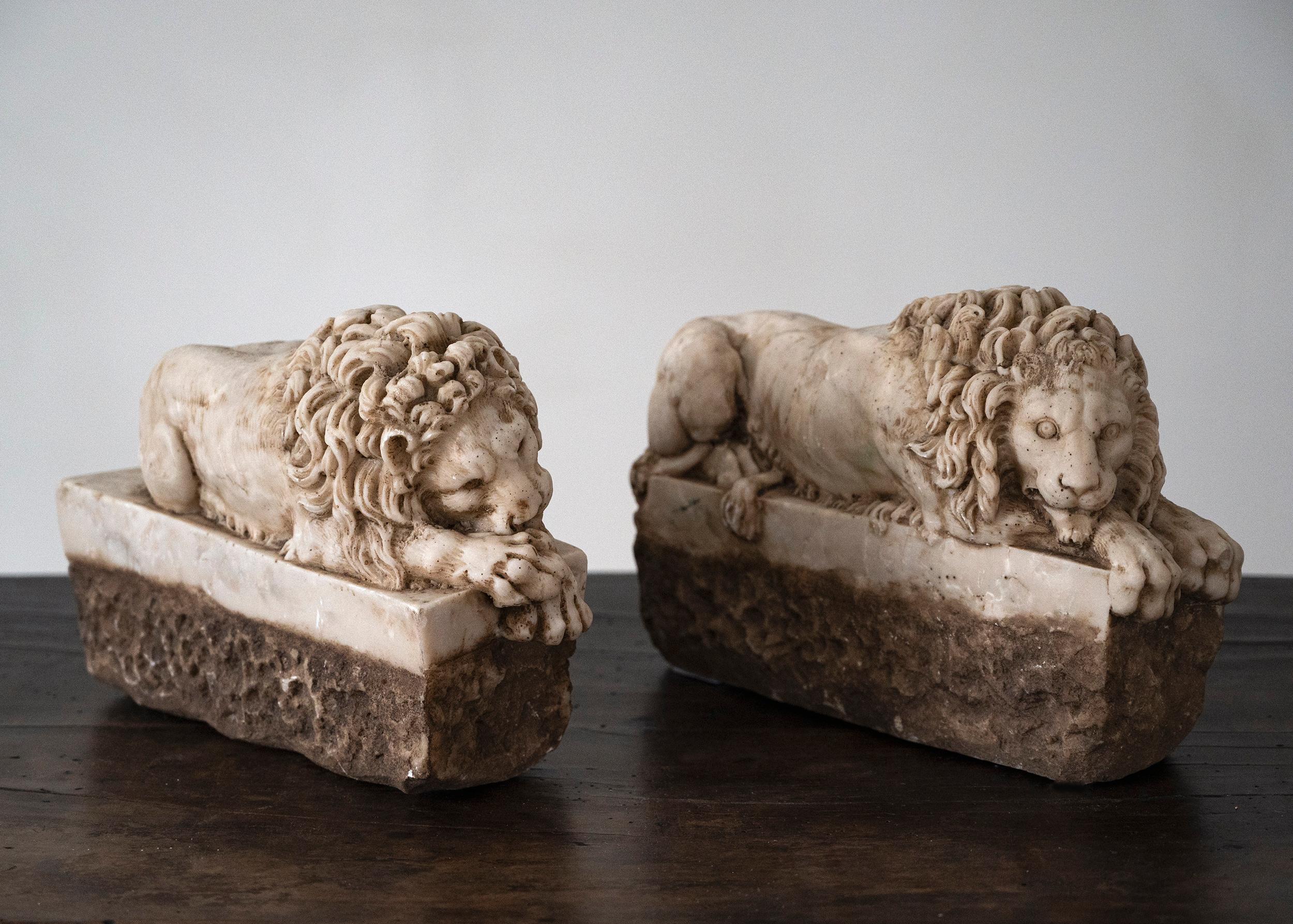 Paire de lions italiens en albâtre du 19ème siècle d'après Antonio Canova 4