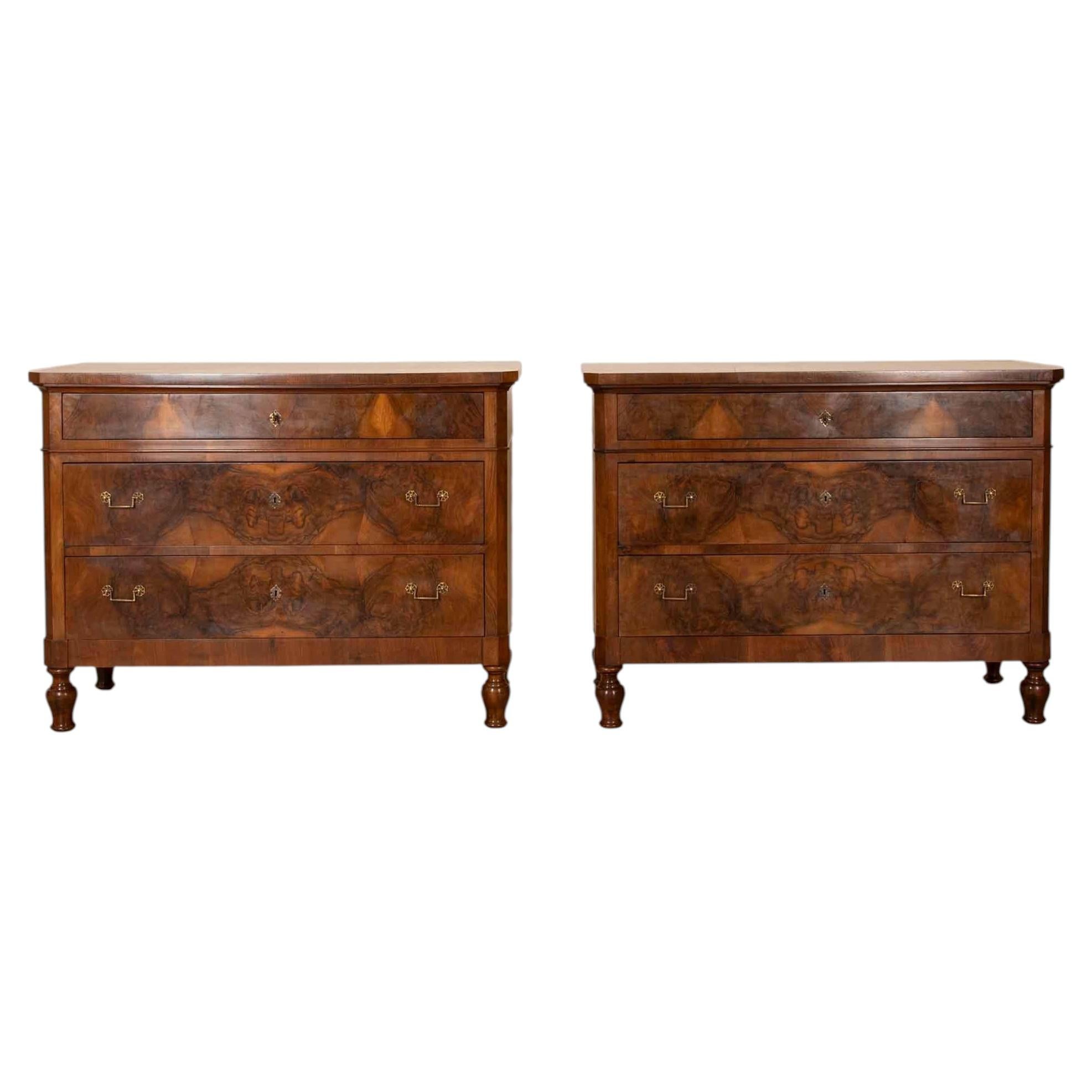 Pair of 19th Century Italian Commodes