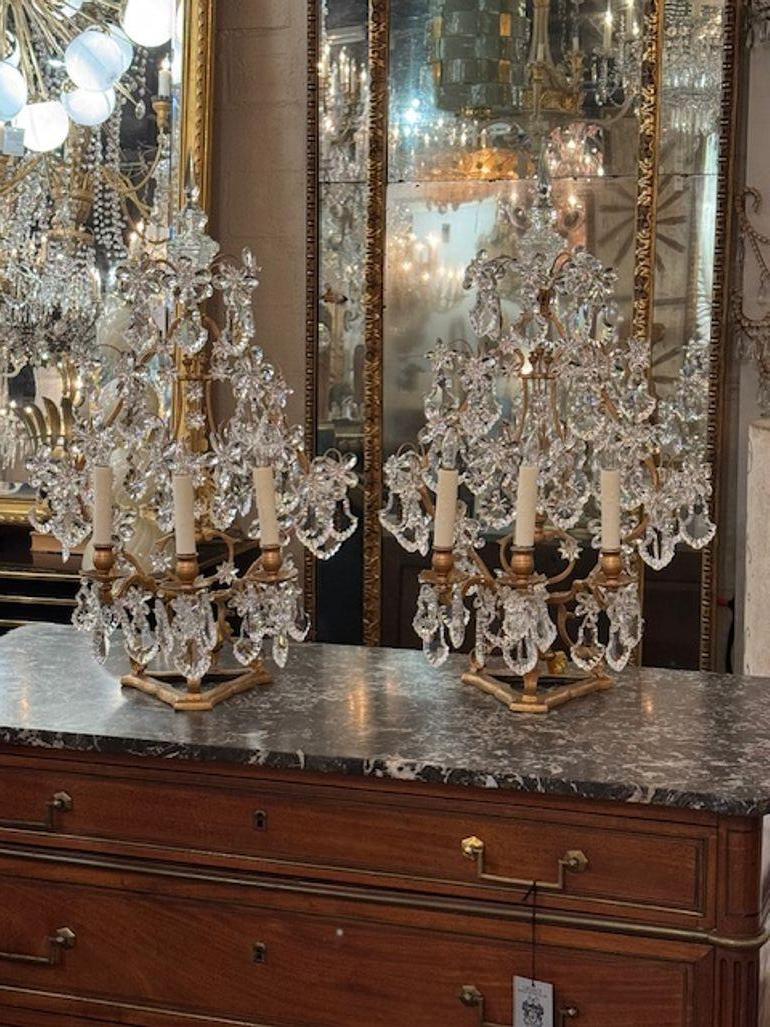 Cette paire de girandoles italiennes du XIXe siècle en cristal et en fer doré présente un design étonnant avec des éléments en cristal et en fer doré, ajoutant une touche d'élégance à tout espace. Parfaites pour les collectionneurs ou ceux qui