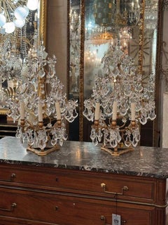 Pair of 19th Century Italian Crystal and Gilt Iron Girandoles