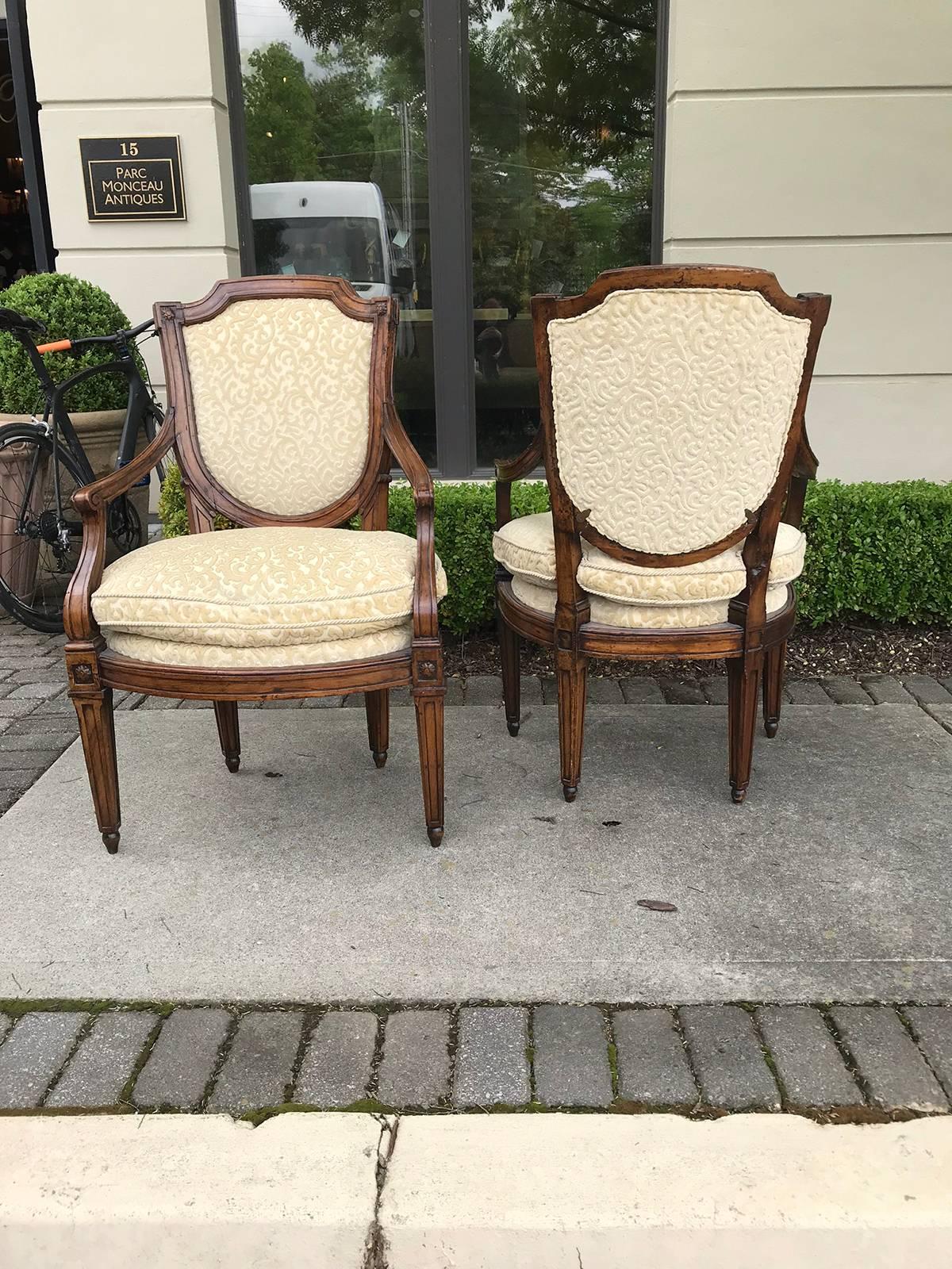 Pair of 19th century Italian Directoire style armchairs, shield back.