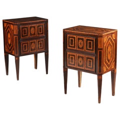 Pair of 19th Century Italian Fruit Wood Marquetry Bedside Commodes with Drawers