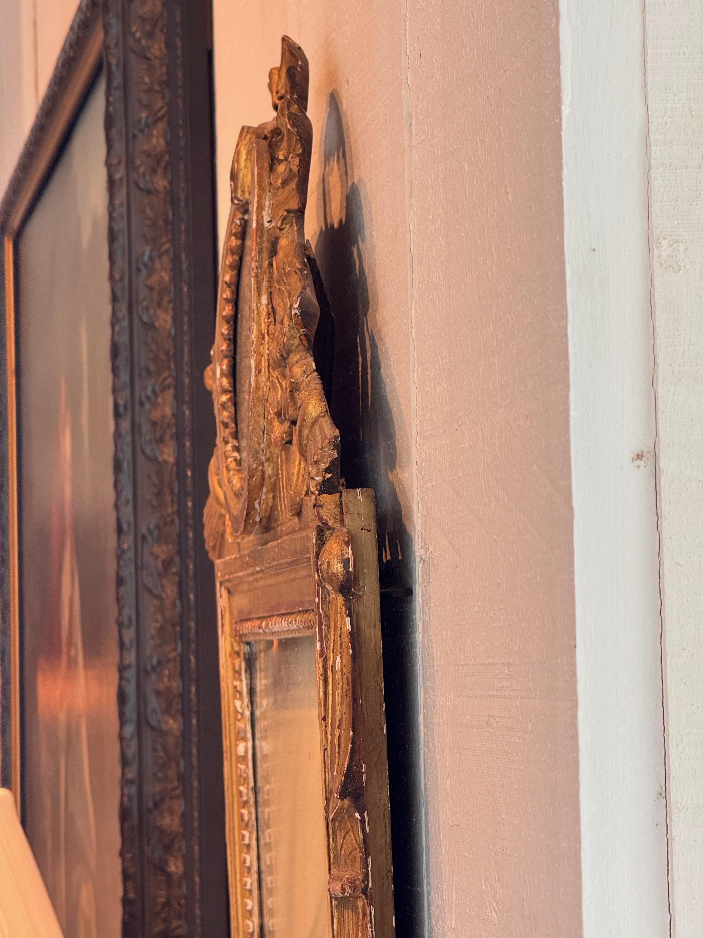 Paire de miroirs italiens en bois doré du 19e siècle en vente 4