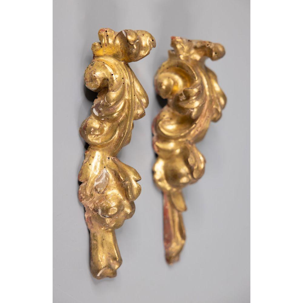 A lovely petite set of two early 19th-Century Italian carved giltwood architectural fragments / wall decor / wall hangings. These stunning fragments have scrolling acanthus leaves in a Neoclassical design and retain the original surface and