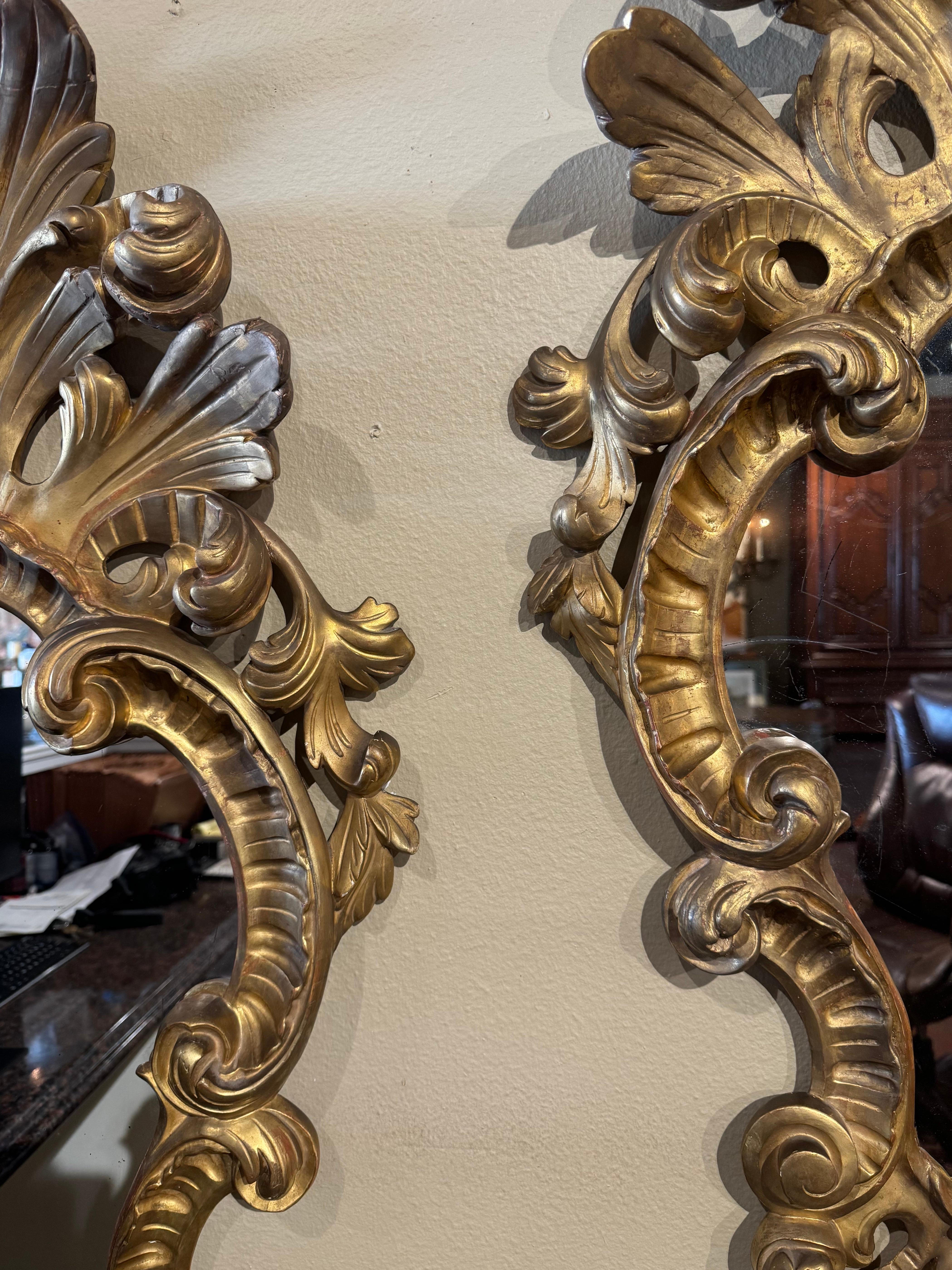 Paar italienische Louis XV-Wandspiegel aus geschnitztem Giltwood mit Blattwerk aus dem 19. (Louis XV.) im Angebot