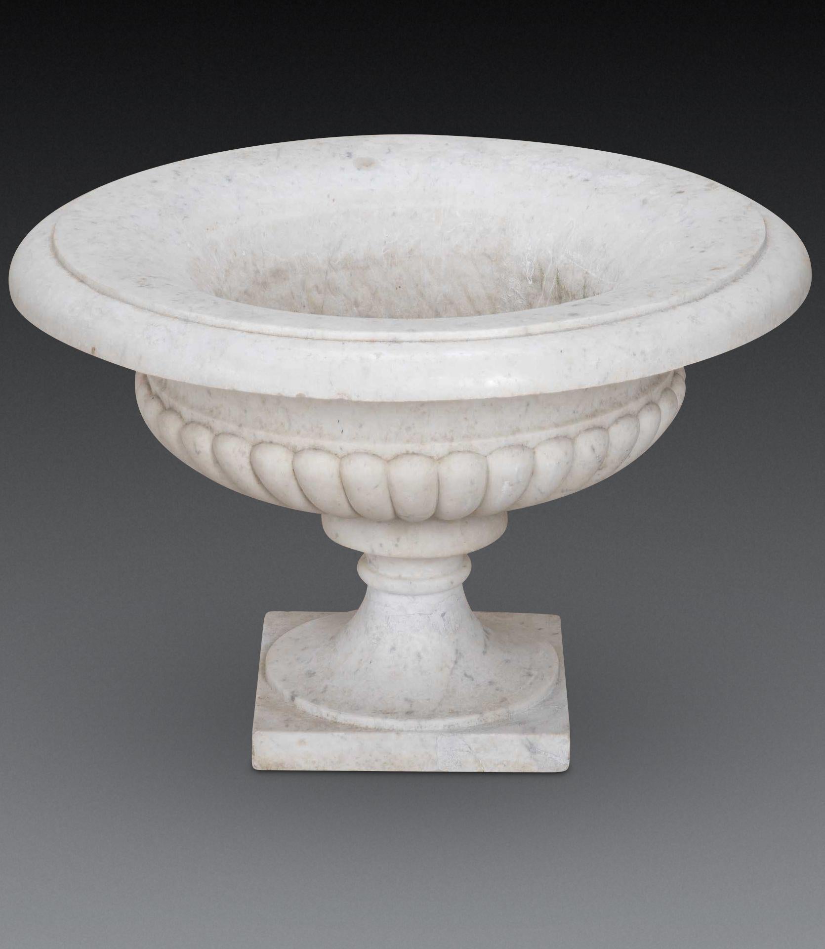 Pair of 19th Century Italian Marble Tazza Urns im Angebot 3