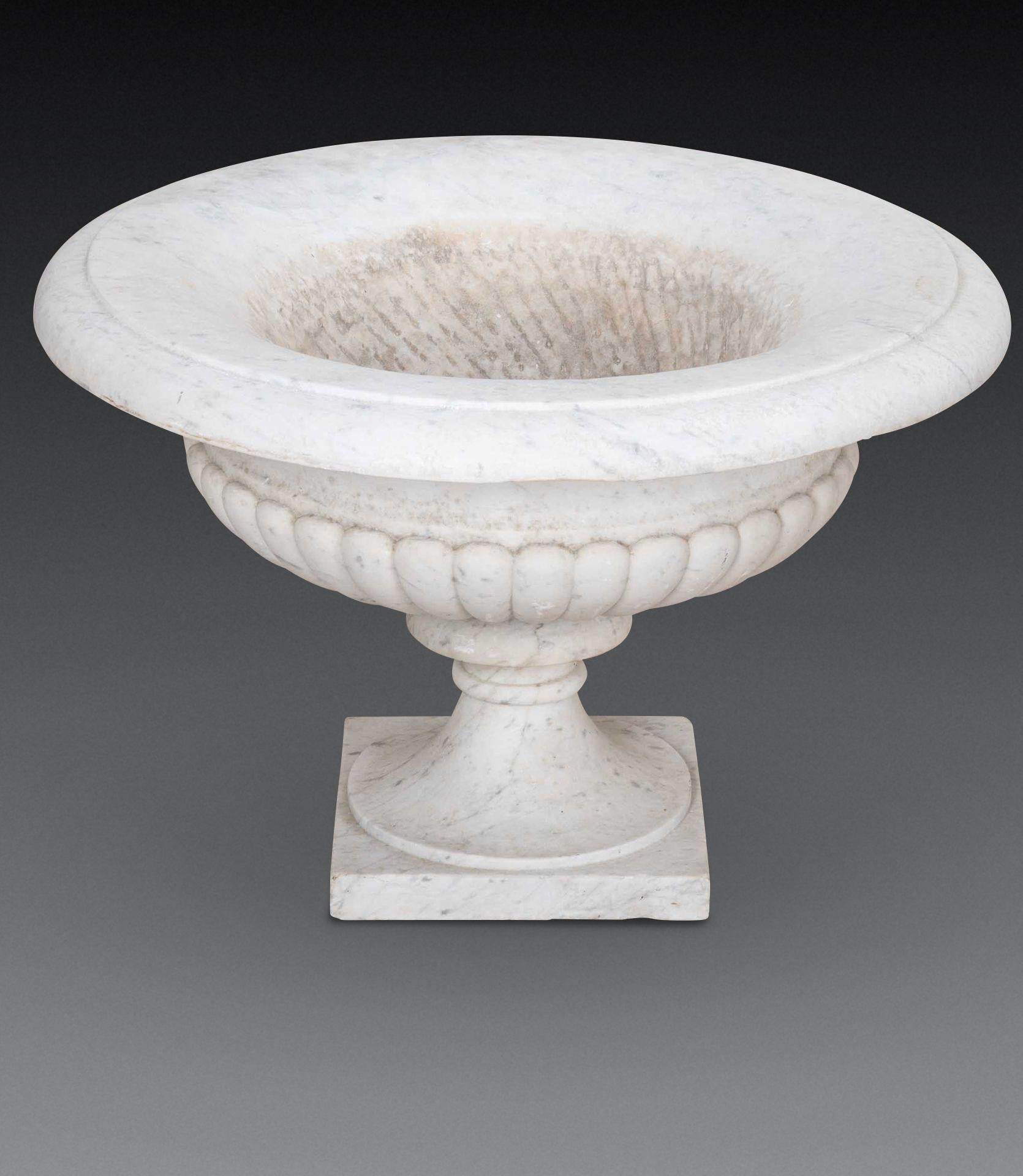 Pair of 19th Century Italian Marble Tazza Urns im Angebot 4