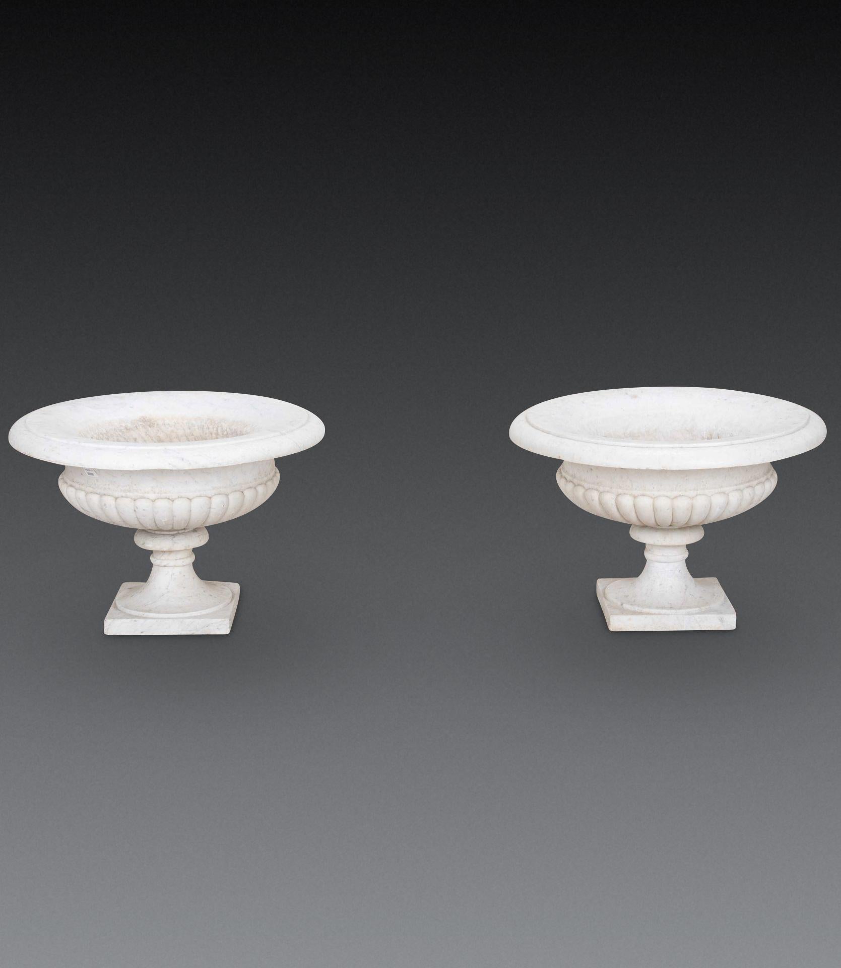 Pair of 19th Century Italian Marble Tazza Urns im Angebot 5
