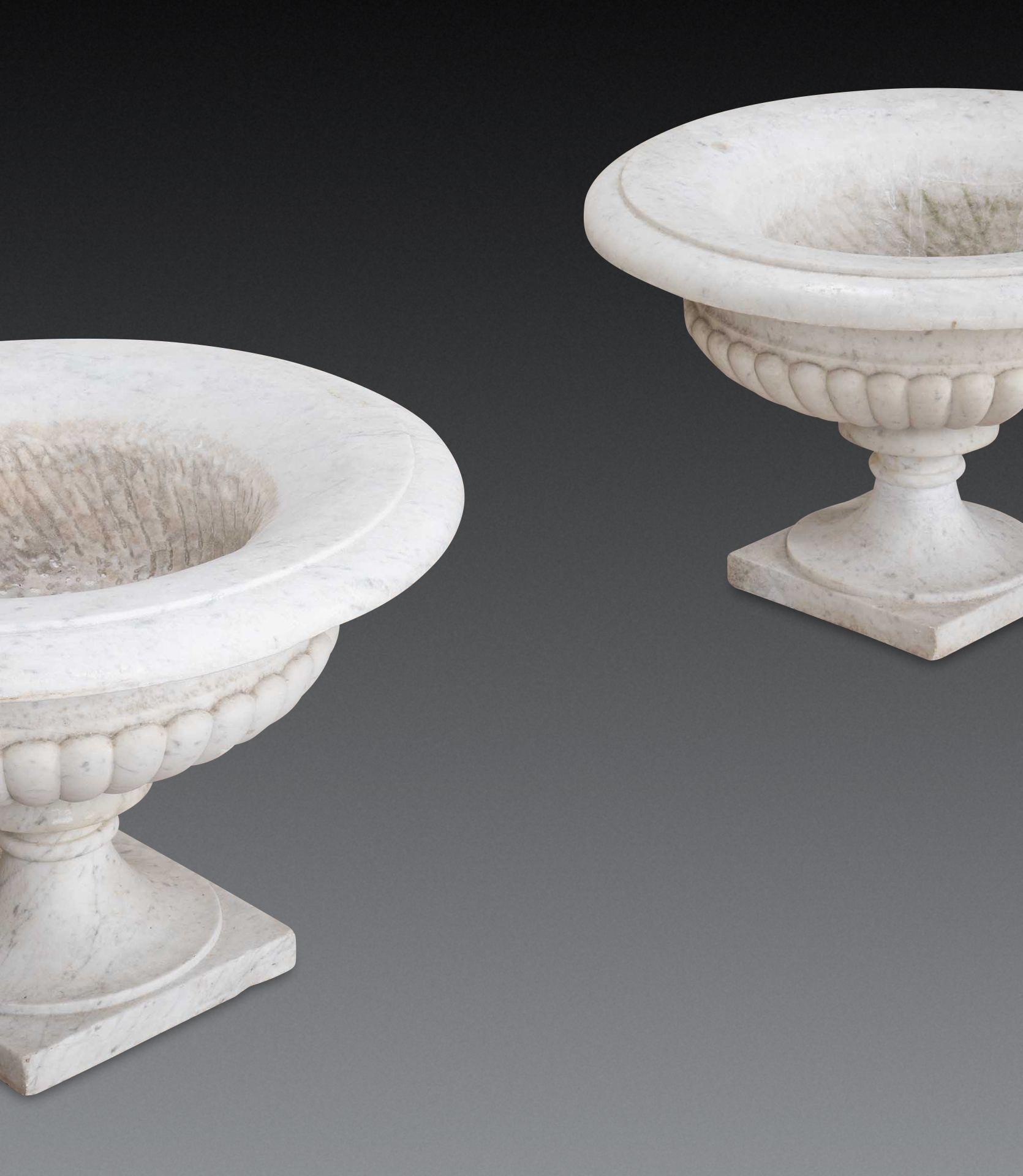Pair of 19th Century Italian Marble Tazza Urns im Angebot 7
