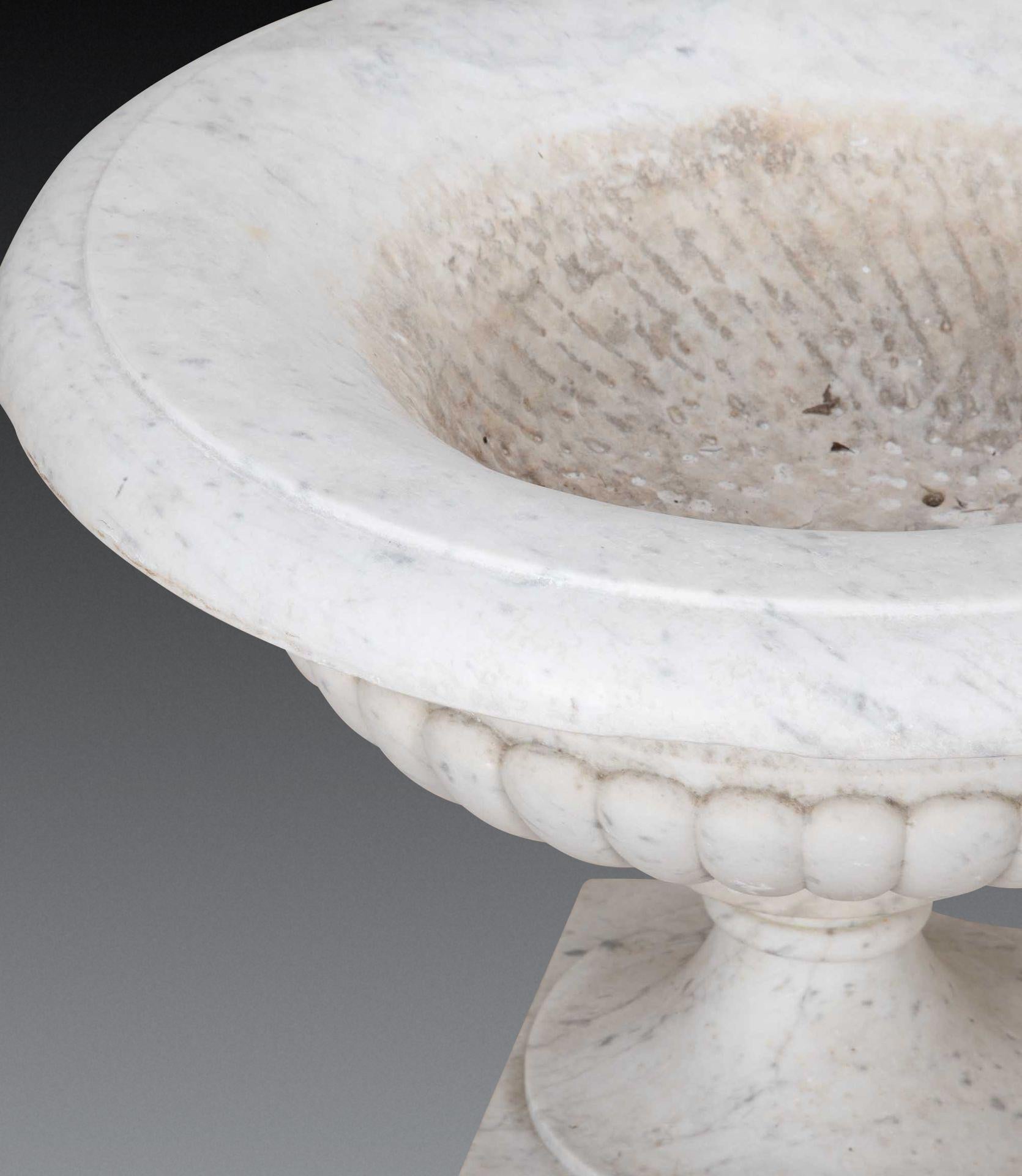 Pair of 19th Century Italian Marble Tazza Urns im Angebot 8